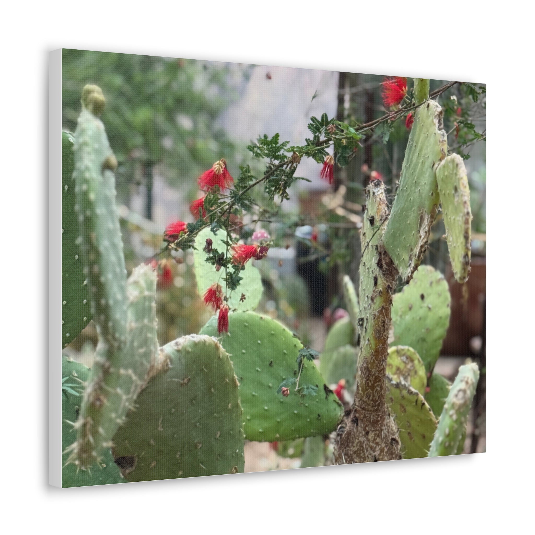 Cactus Artwork Print, Botanical Wall Decor, Succulent Canvas, Nature Lover Gift, Home Decoration