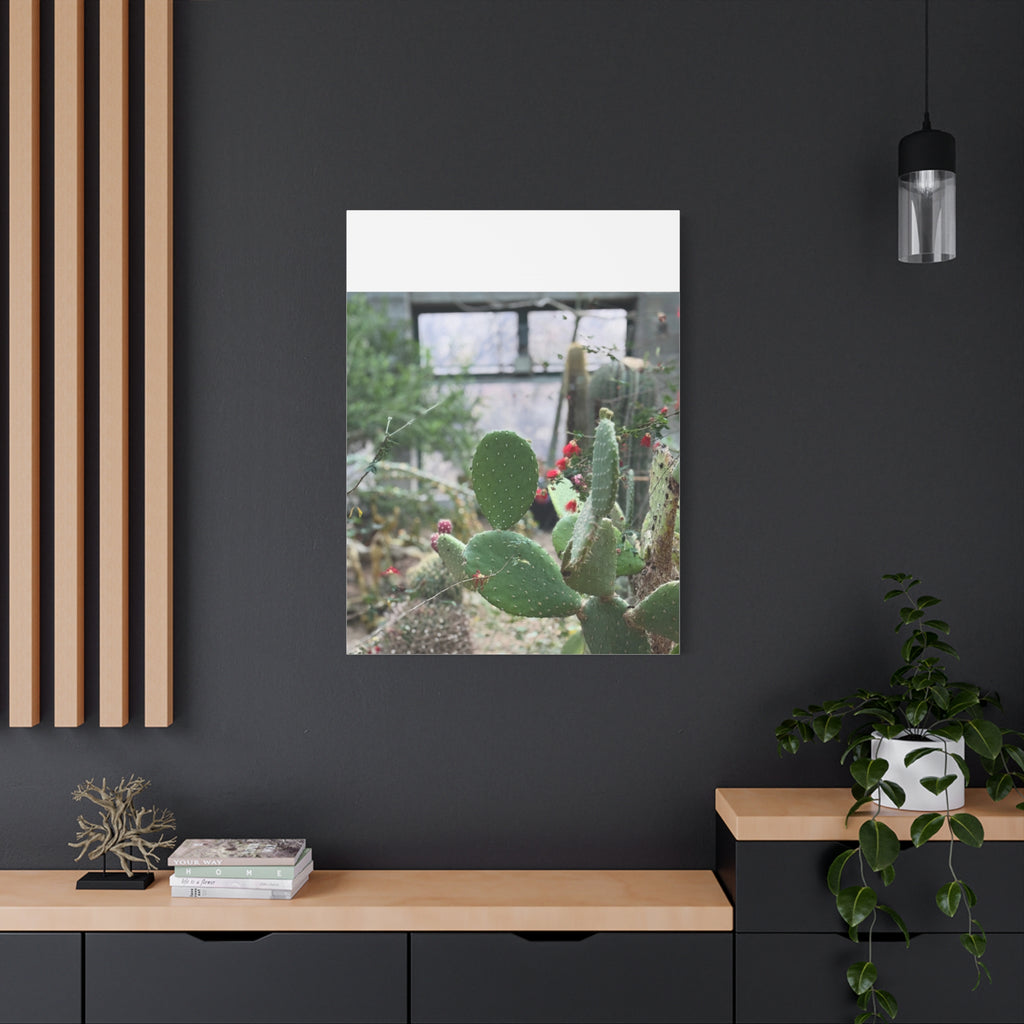 Cactus Matte Canvas Wall Art, Nature Decor, Southwestern Room Design, Green Plant Prints, Home and Office Wall Decor