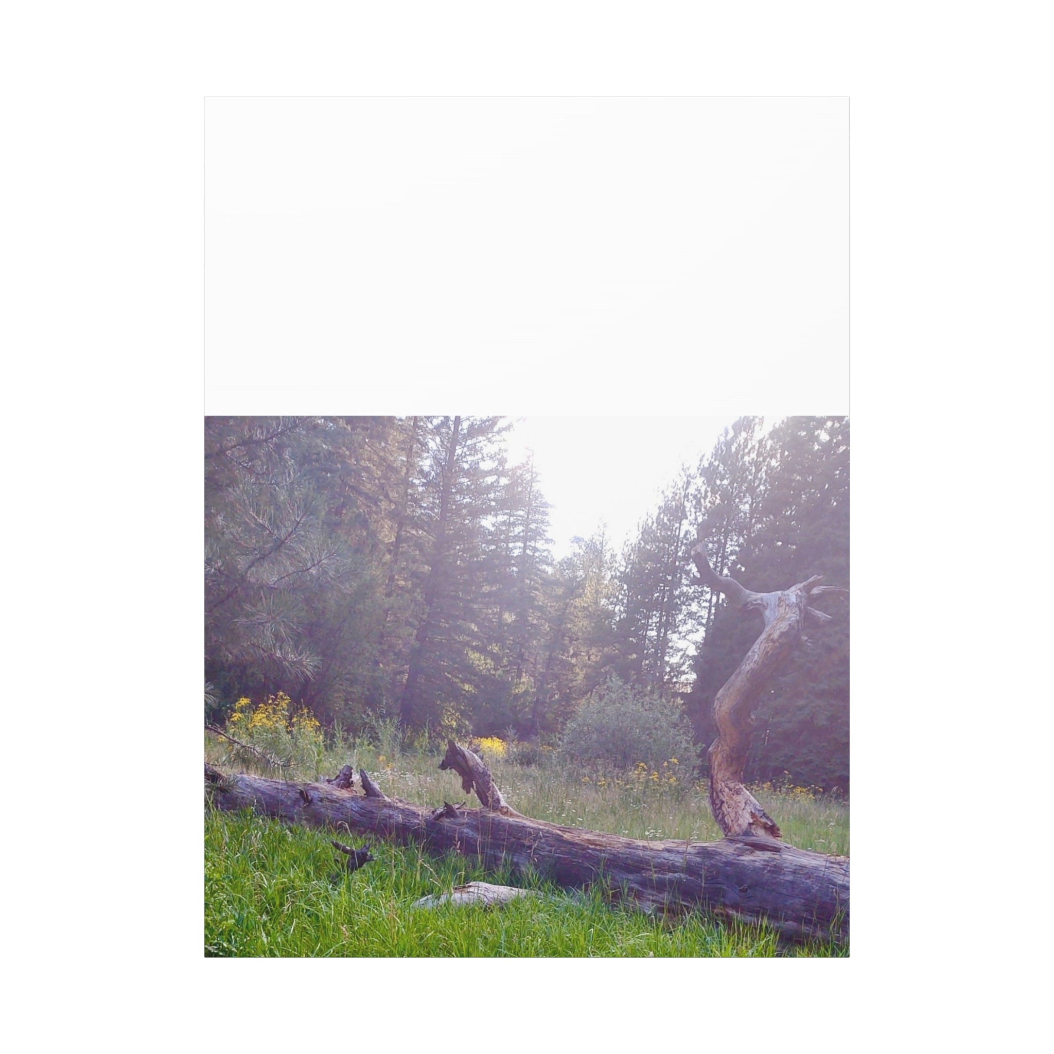 Matte Canvas Wall Art - Serene Nature Scene, Perfect for Home Decor, Gift for Nature Lovers, Office Wall Decoration, Rustic Art Print