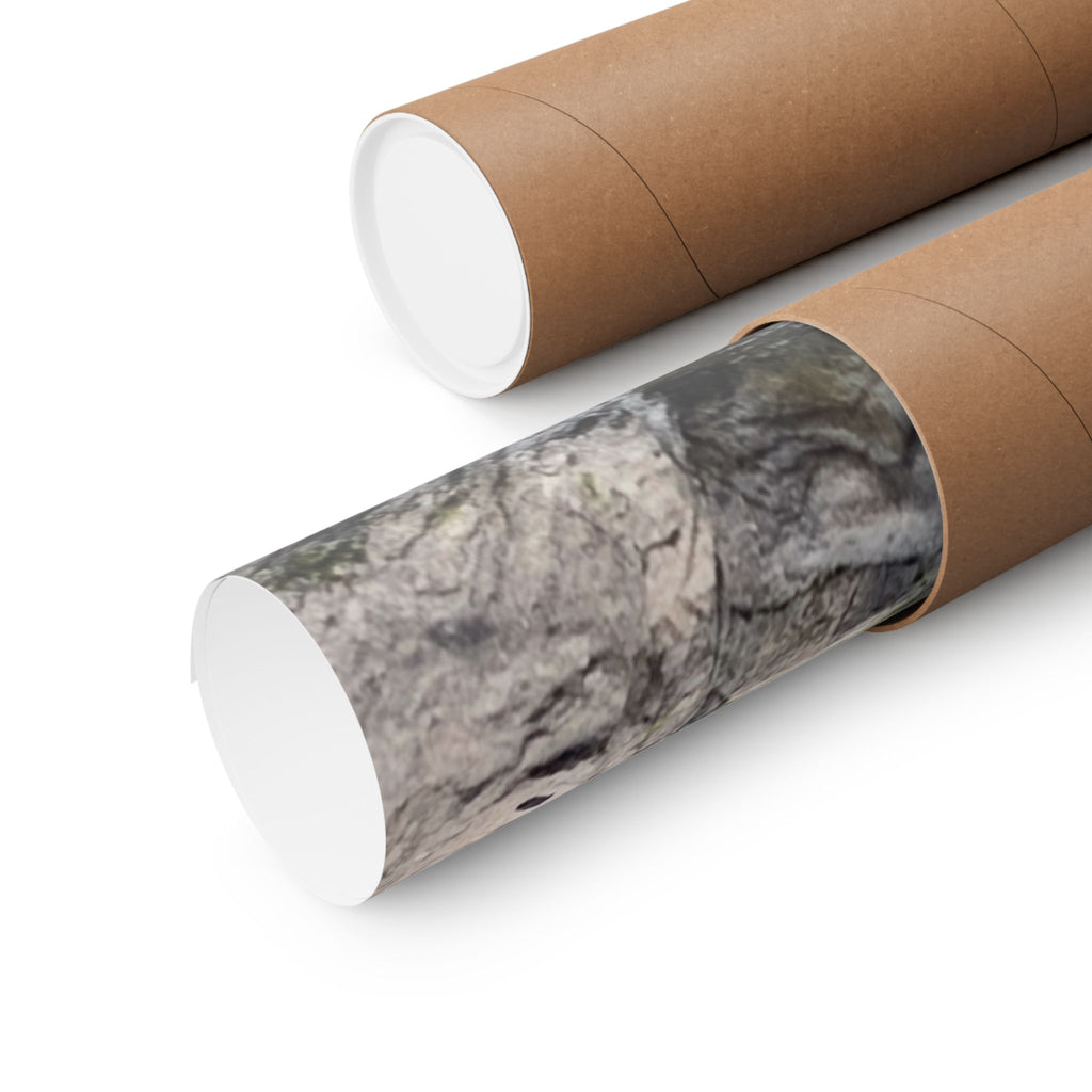 Serene Nature Posters, Home Decor Wall Art, Gift for Nature Lovers, Tranquil Landscape Prints, Waterfall Artwork