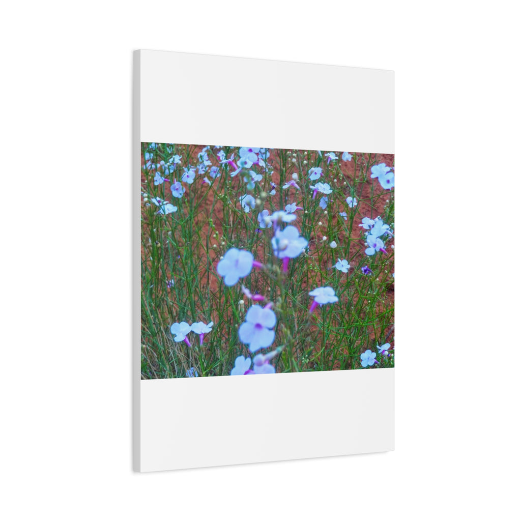Floral Canvas Wall Art, Home Decor, Wall Hanging, Gift Idea, Nature Art, Flower Print