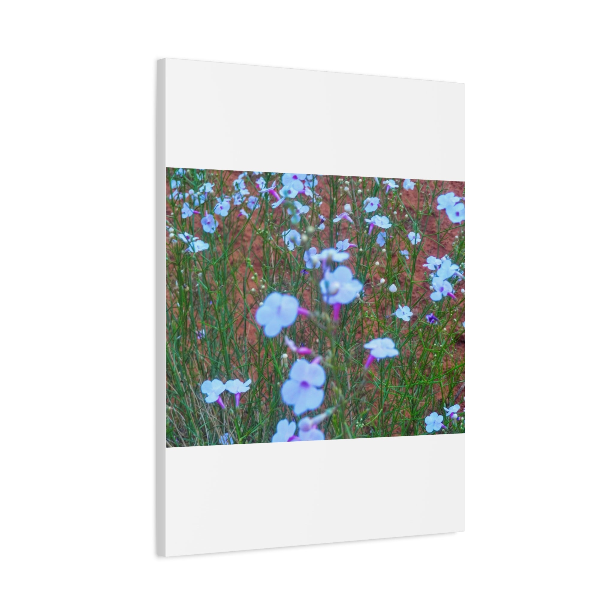 Floral Canvas Wall Art, Home Decor, Wall Hanging, Gift Idea, Nature Art, Flower Print