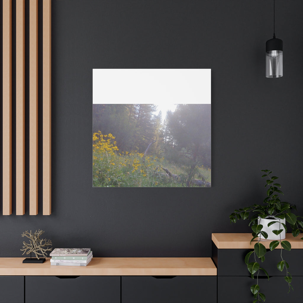 Matte Canvas, Stretched, 1.25"