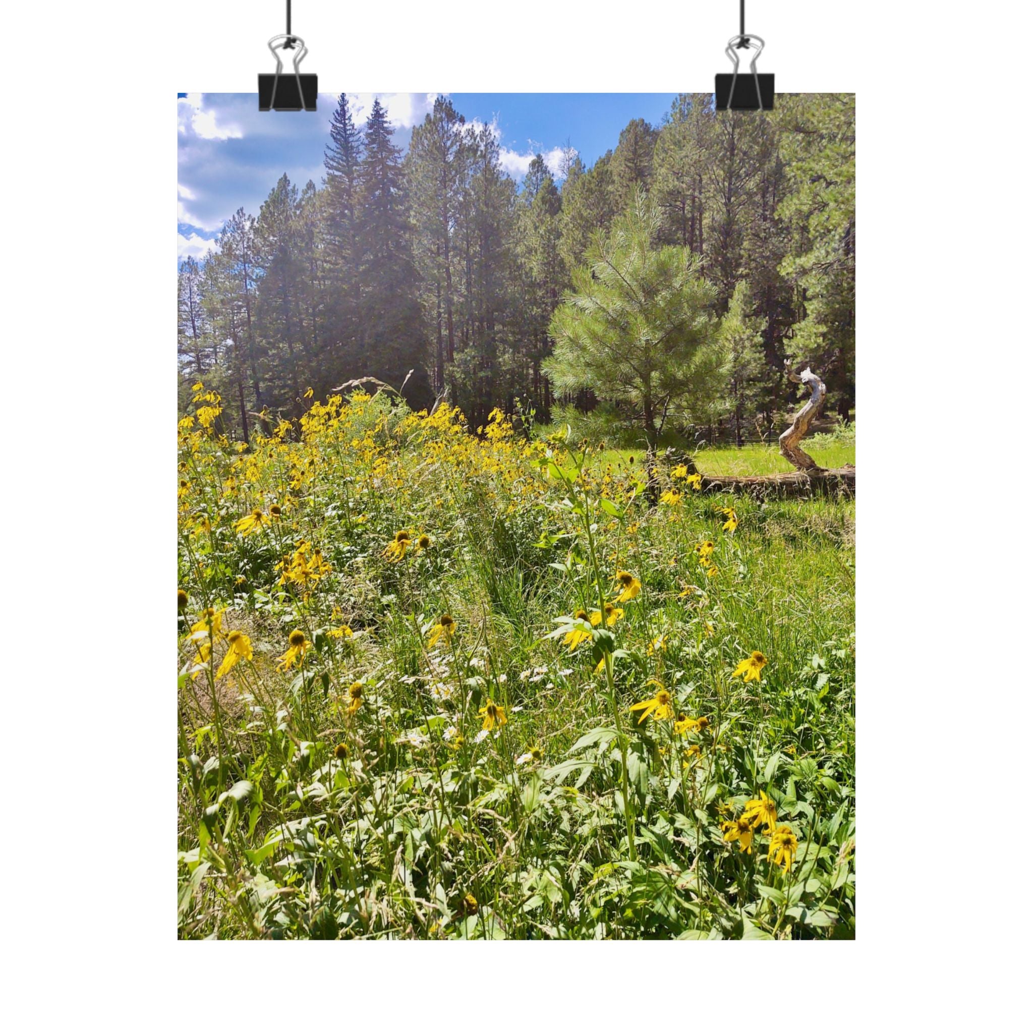 Nature-Inspired Matte Vertical Posters, Floral Wall Art, Home Decor, Gift for Nature Lovers, Botanical Print, Office Decoration