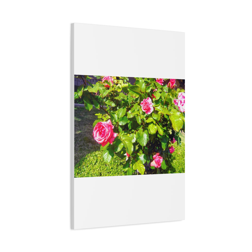 Floral Canvas Wall Art, Pink Rose Decor, Home Gallery Piece, Flower Photography, Garden Wall Decor, Floral Print
