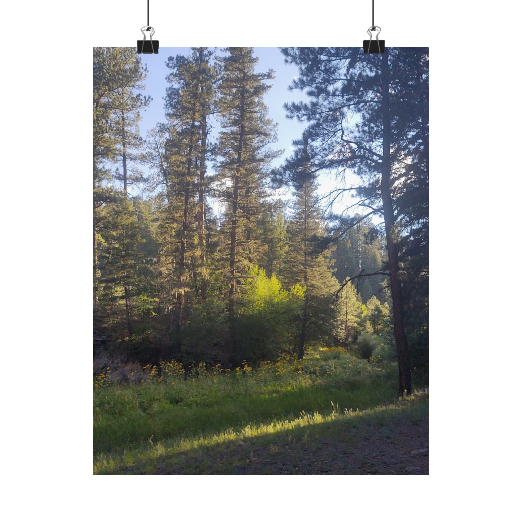 Nature-Inspired Matte Vertical Posters, Forest Wall Art, Home Décor, Greenery Prints, Gifts for Nature Lovers, Nature Photography