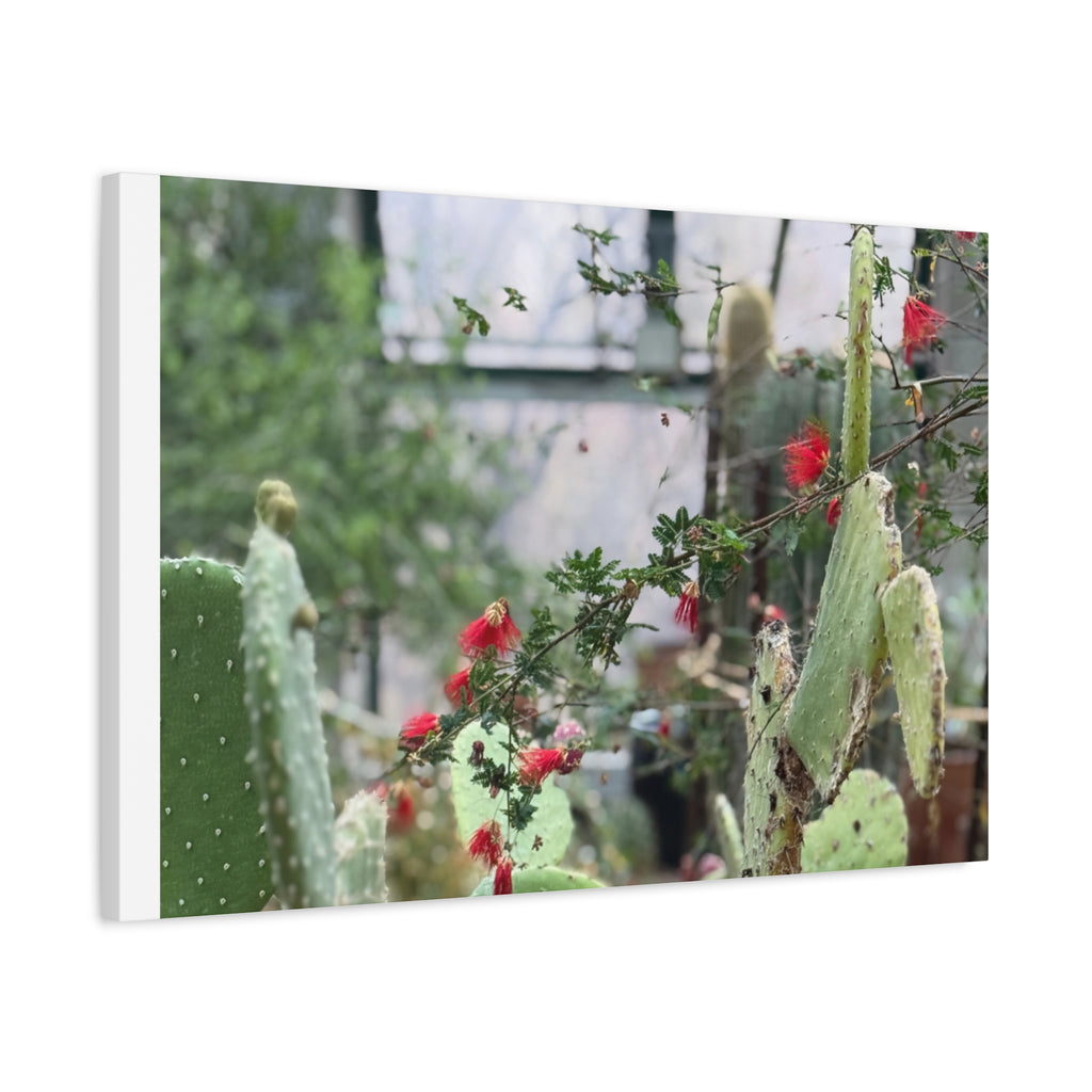 Cactus Wall Art Print, Nature Home Decor, Bohemian Style Artwork, Botanical Gift, Succulent Canvas