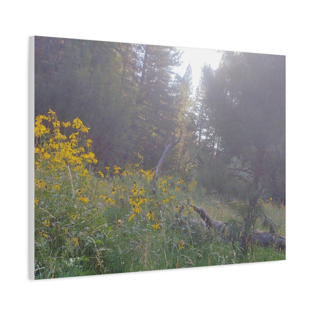 Matte Canvas, Stretched, 1.25"