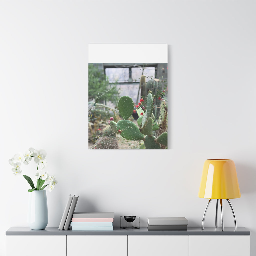 Cactus Matte Canvas Wall Art, Nature Decor, Southwestern Room Design, Green Plant Prints, Home and Office Wall Decor