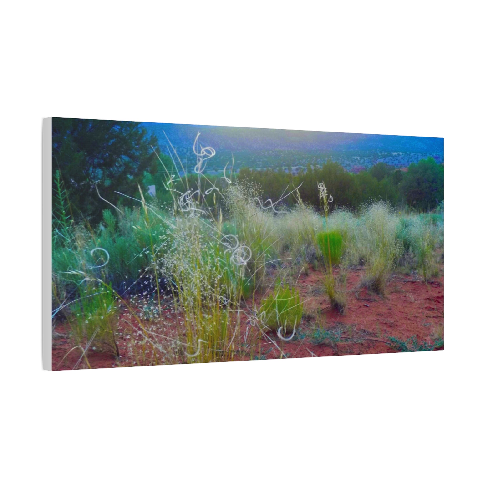 Stretched Canvas Art Print, Nature Wall Decor, Boho Home Decor, Rustic Landscape Art, Gift for Nature Lovers