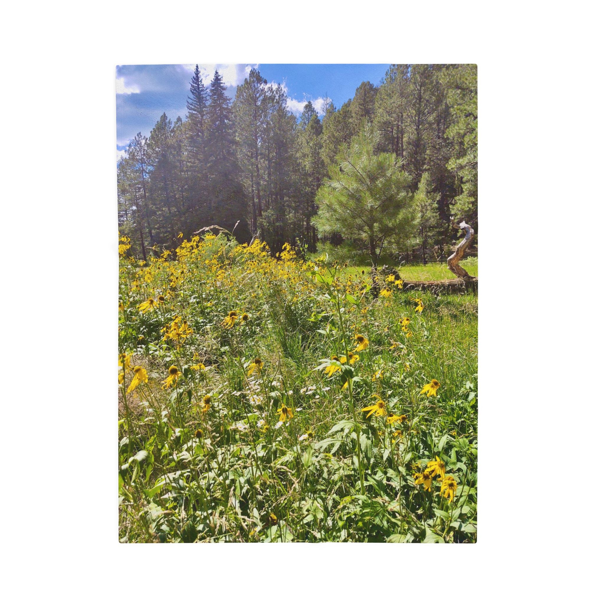 Cozy Floral Velveteen Plush Blanket, Soft Throw for Home Decor, Perfect for Gifts, Picnics, or Cozy Evenings, Nature-Inspired Comfort