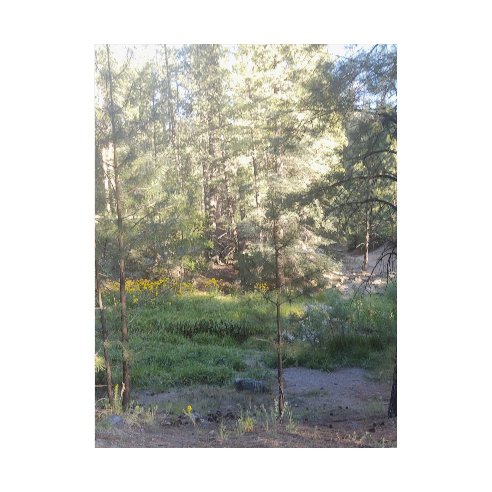 Nature-Inspired Matte Vertical Posters, Wall Art Prints, Home Decor, Aesthetic Decor, Nature Photography, Botanical Wall Art