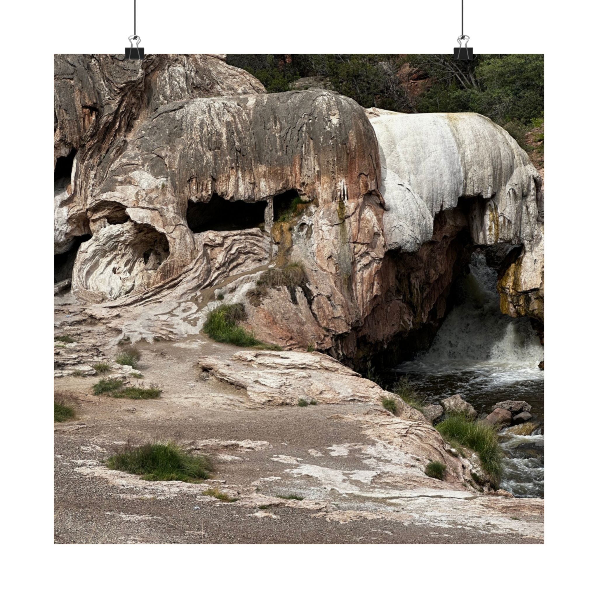 Nature-Inspired Matte Vertical Poster, Landscape Wall Art, Home Decor, Unique Gift, Rustic Vibe, Earthy Aesthetic