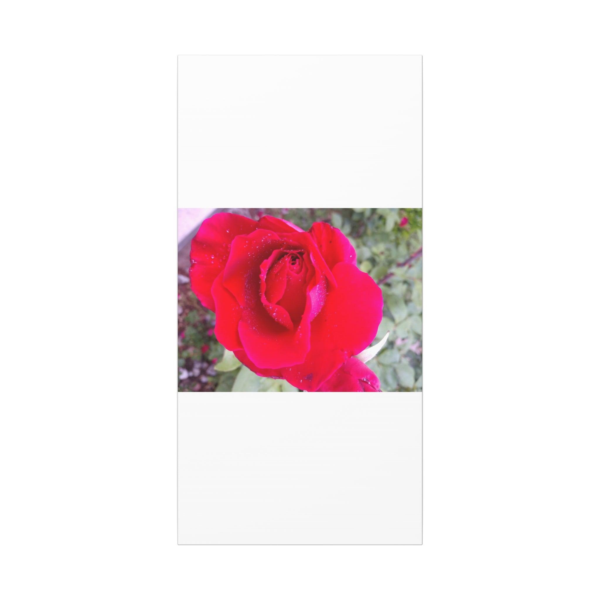 Vibrant Floral Canvas Art, Elegant Wall Decor, Perfect for Home, Gifts, Mother's Day, and Weddings