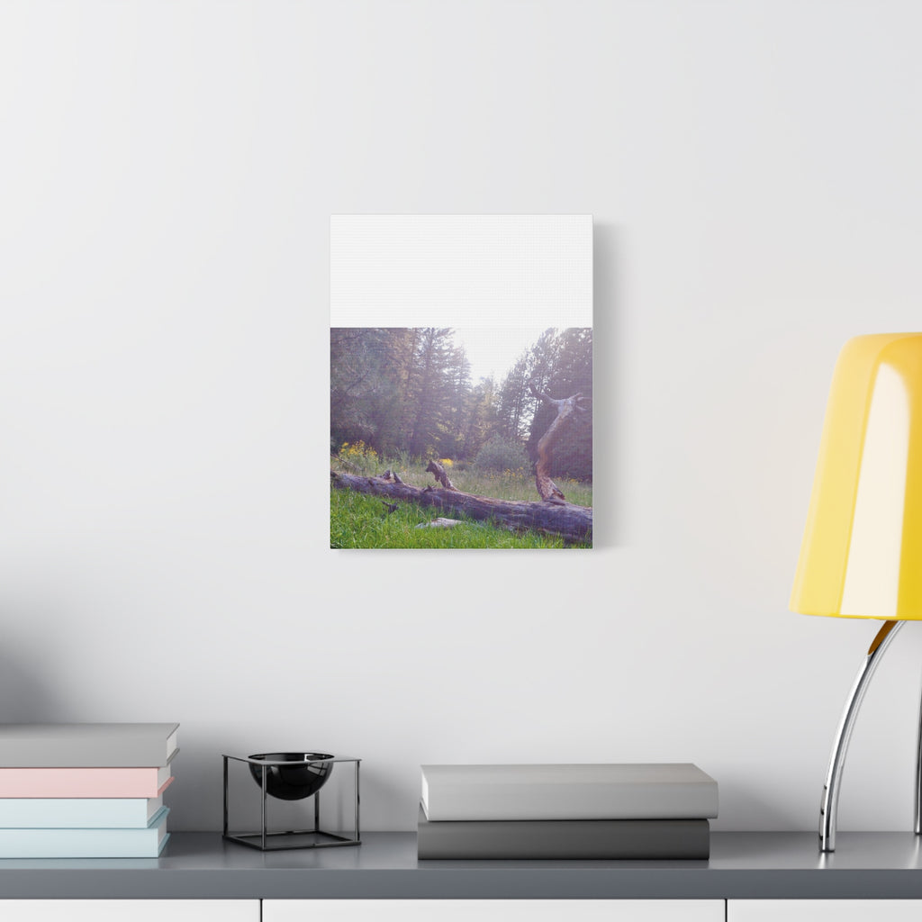 Matte Canvas Wall Art - Serene Nature Scene, Perfect for Home Decor, Gift for Nature Lovers, Office Wall Decoration, Rustic Art Print