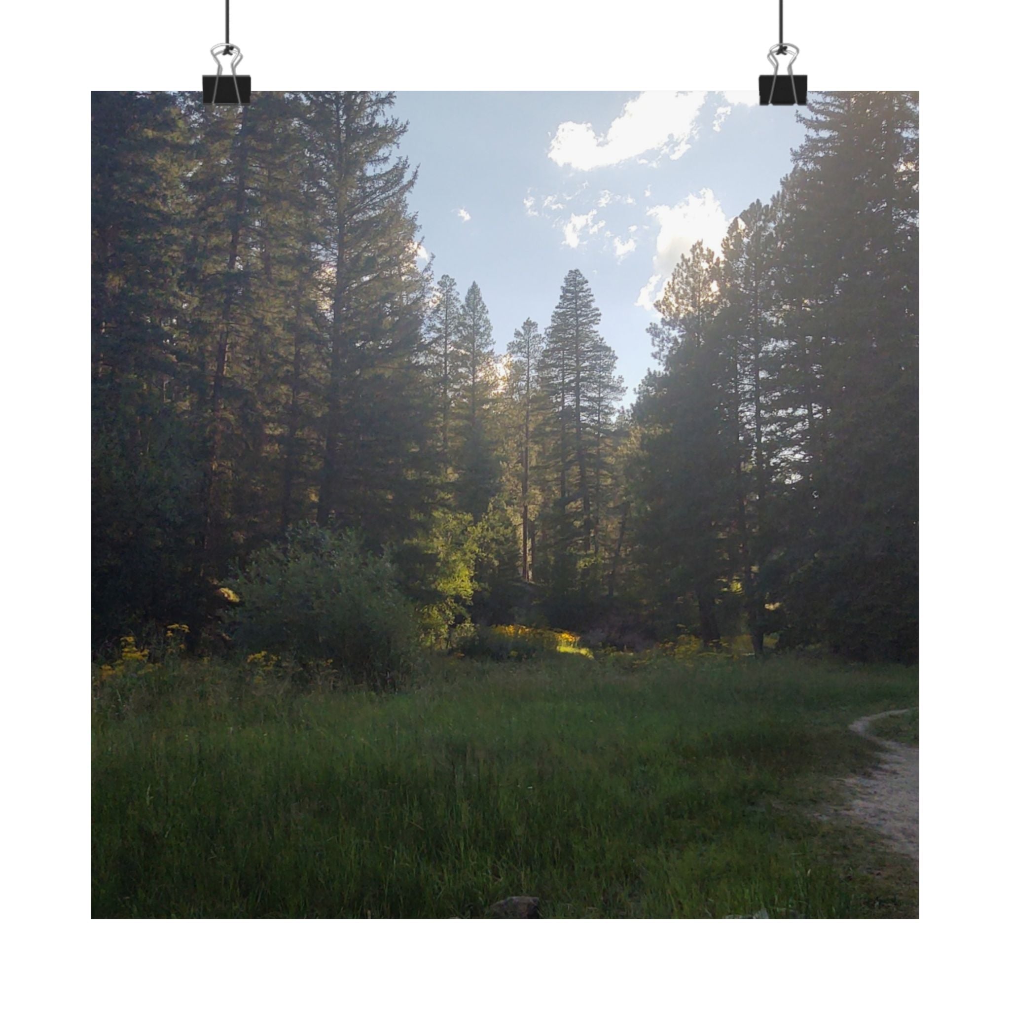 Nature-Inspired Matte Vertical Posters, Forest Art Decor, Home Wall Art, Outdoor Lover Gift, Tranquil Nature Prints