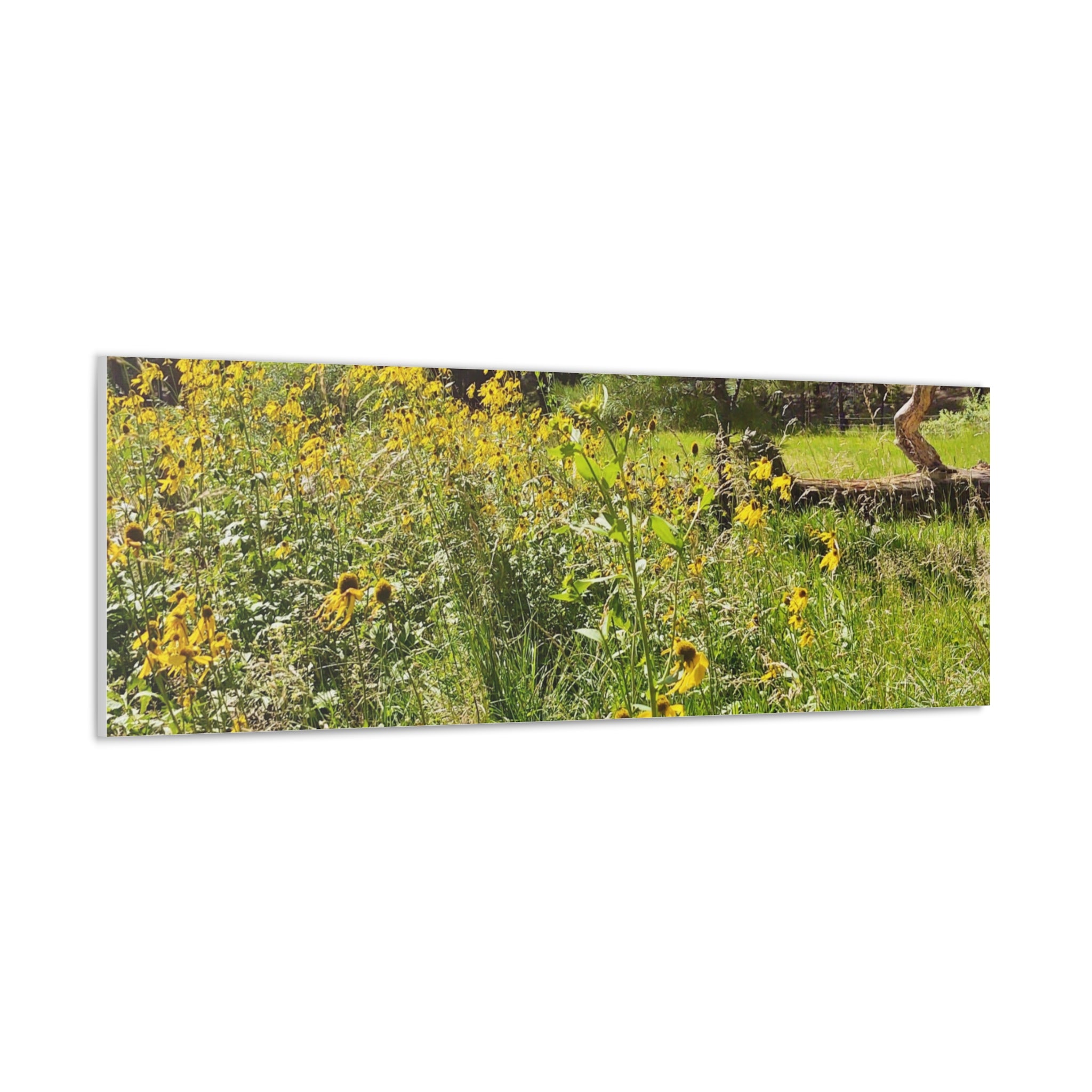 Canvas Wall Art, Nature Photography Decor, Floral Home Decor, Greenery Art Print, Gift for Nature Lovers