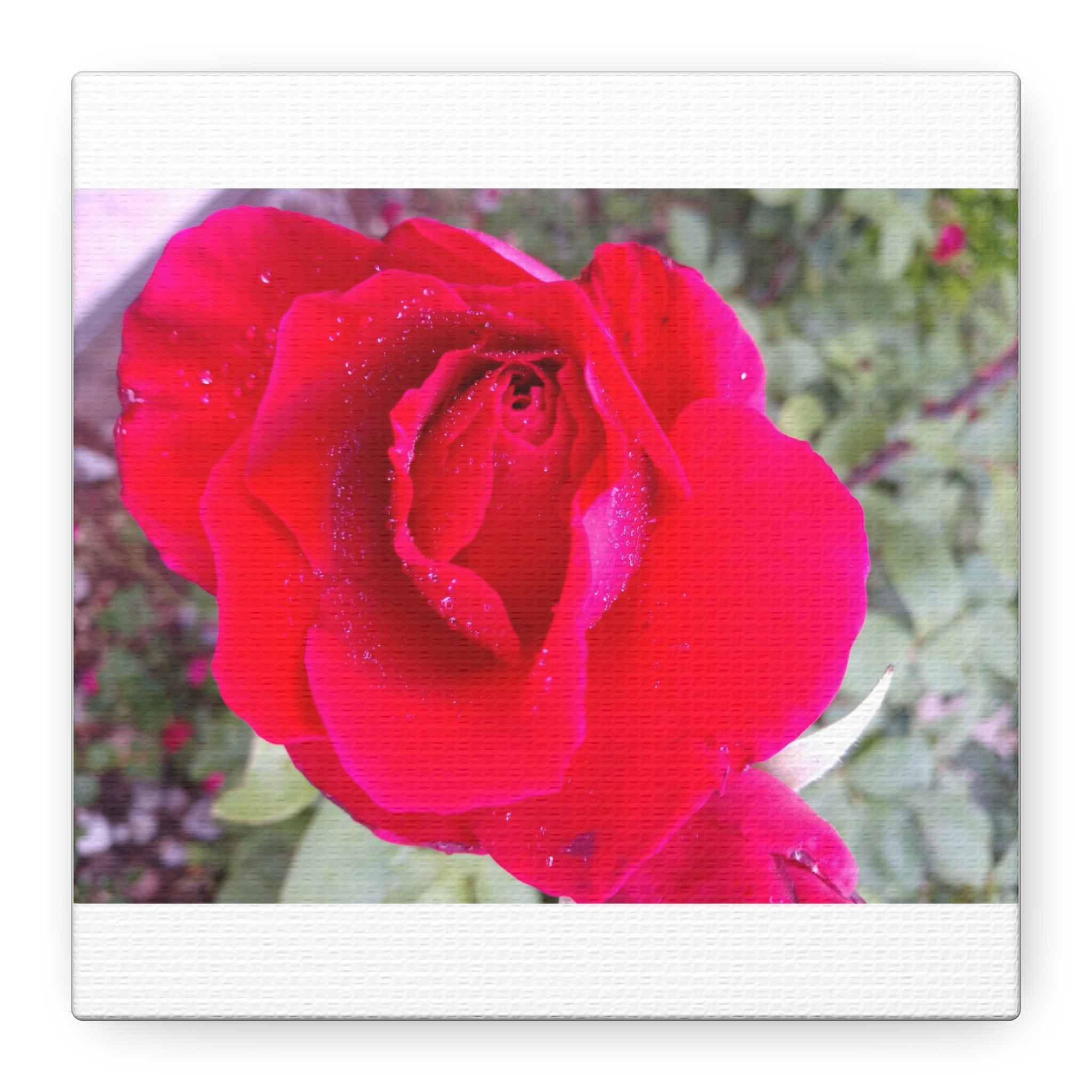 Vibrant Floral Canvas Art, Elegant Wall Decor, Perfect for Home, Gifts, Mother's Day, and Weddings