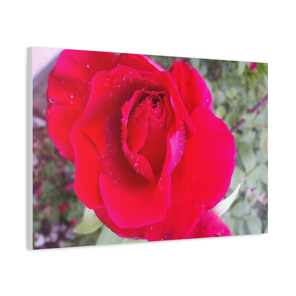 Vibrant Floral Canvas Art, Elegant Wall Decor, Perfect for Home, Gifts, Mother's Day, and Weddings