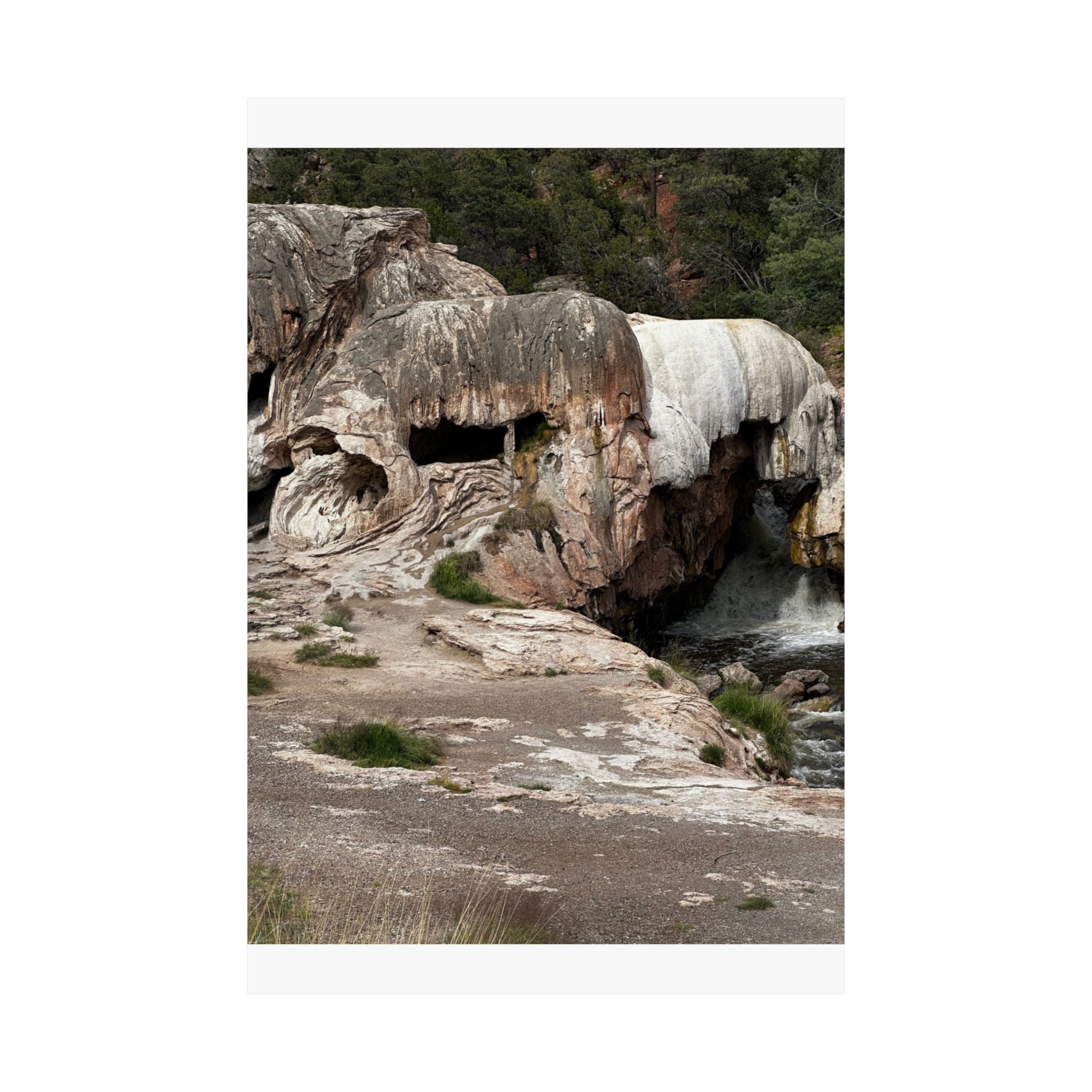 Nature-Inspired Matte Vertical Poster, Landscape Wall Art, Home Decor, Unique Gift, Rustic Vibe, Earthy Aesthetic