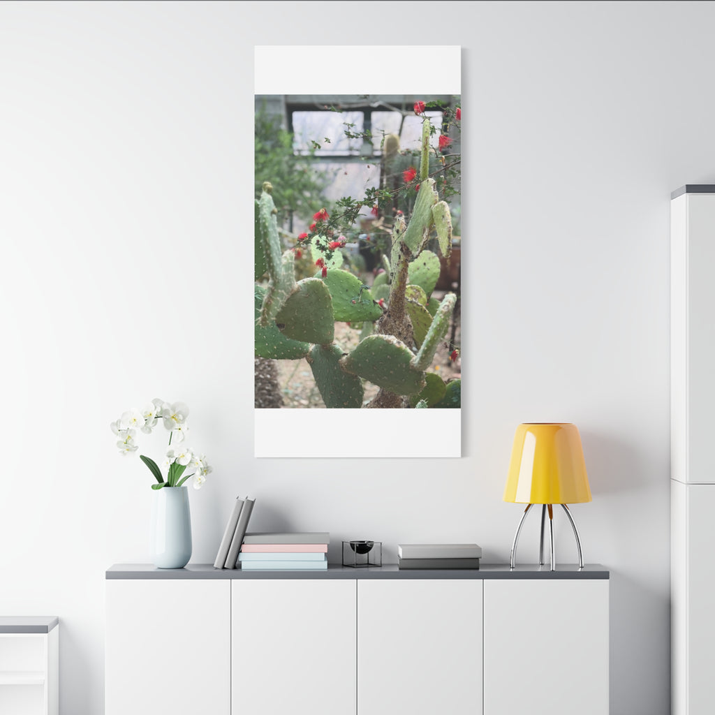 Cactus Artwork Print, Botanical Wall Decor, Succulent Canvas, Nature Lover Gift, Home Decoration
