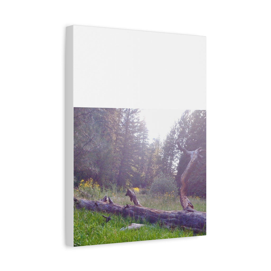 Matte Canvas Wall Art - Serene Nature Scene, Perfect for Home Decor, Gift for Nature Lovers, Office Wall Decoration, Rustic Art Print