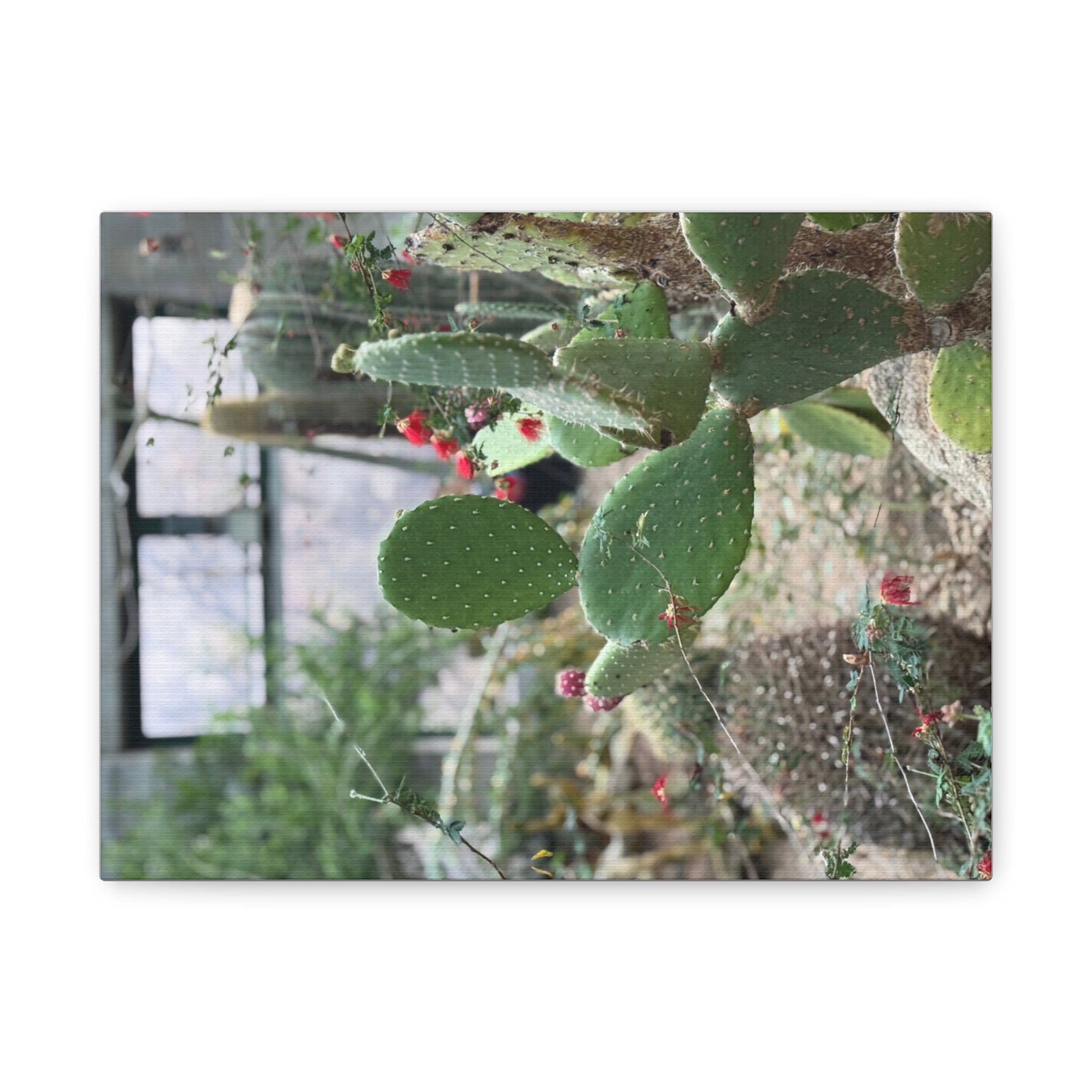 Cactus Wall Art Canvas Print, Nature Décor for Home, Office, Gift for Cactus Lovers, Unique Plant Themed Artwork, Desert Vibe Decor