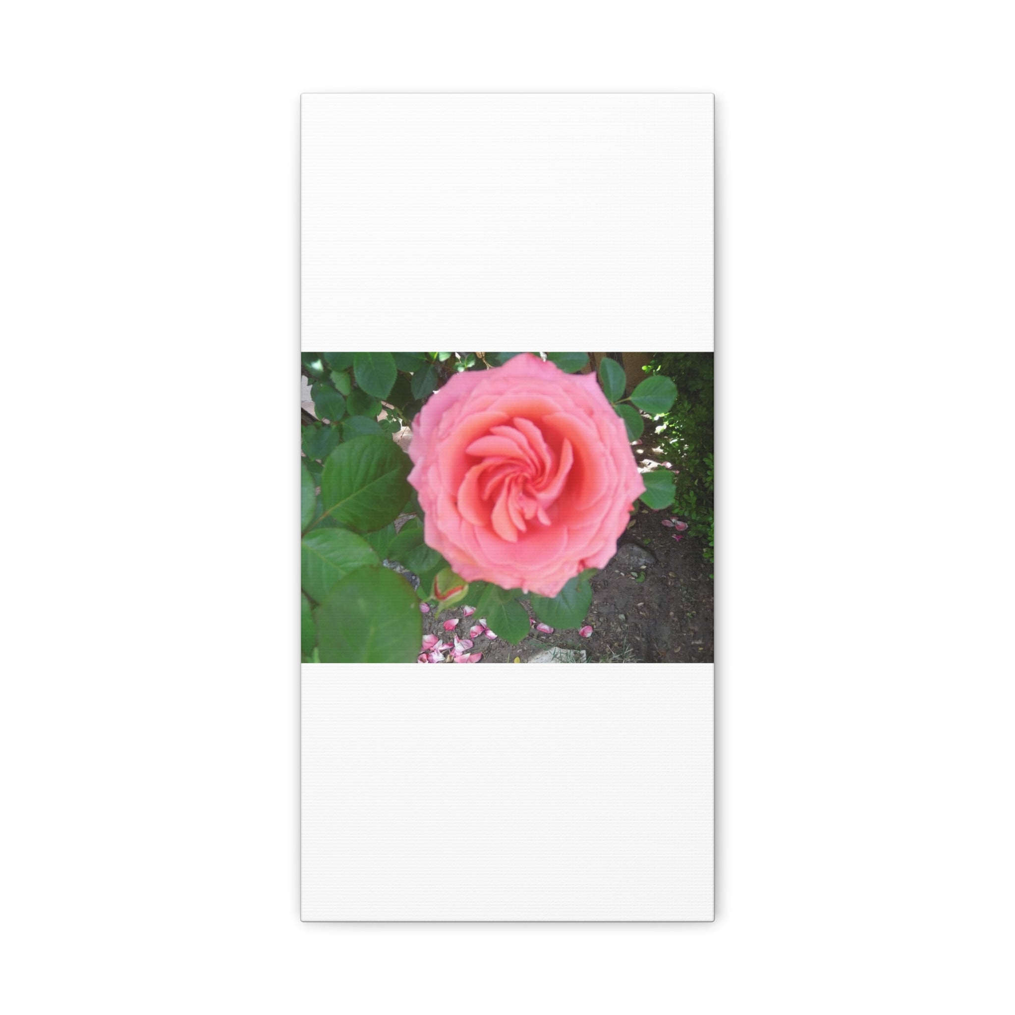 Pink Rose Canvas Wall Art, Floral Decor for Home, Perfect Gift for Nature Lovers, Elegant Wall Hanging, Mother's Day Decoration