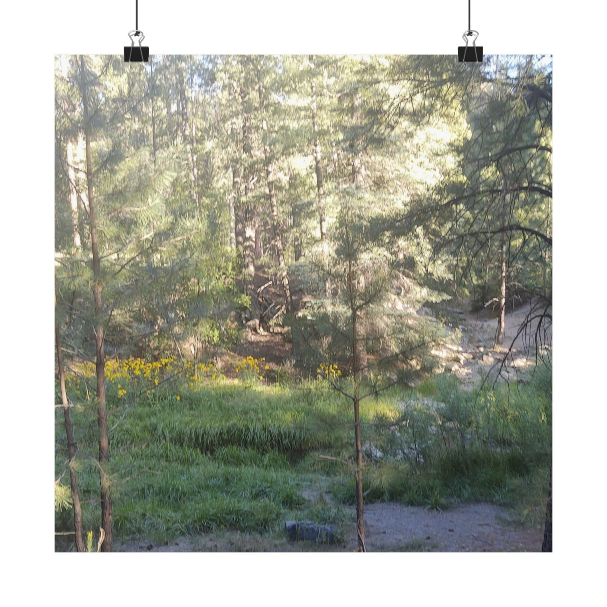 Nature-Inspired Matte Vertical Posters, Wall Art Prints, Home Decor, Aesthetic Decor, Nature Photography, Botanical Wall Art