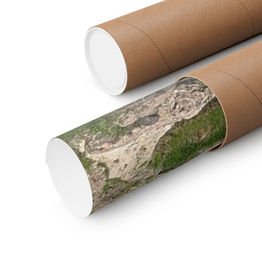 Nature-Inspired Matte Vertical Posters, Scenic Wall Art, Home Decor, Outdoor Aesthetics, Gift for Nature Lovers