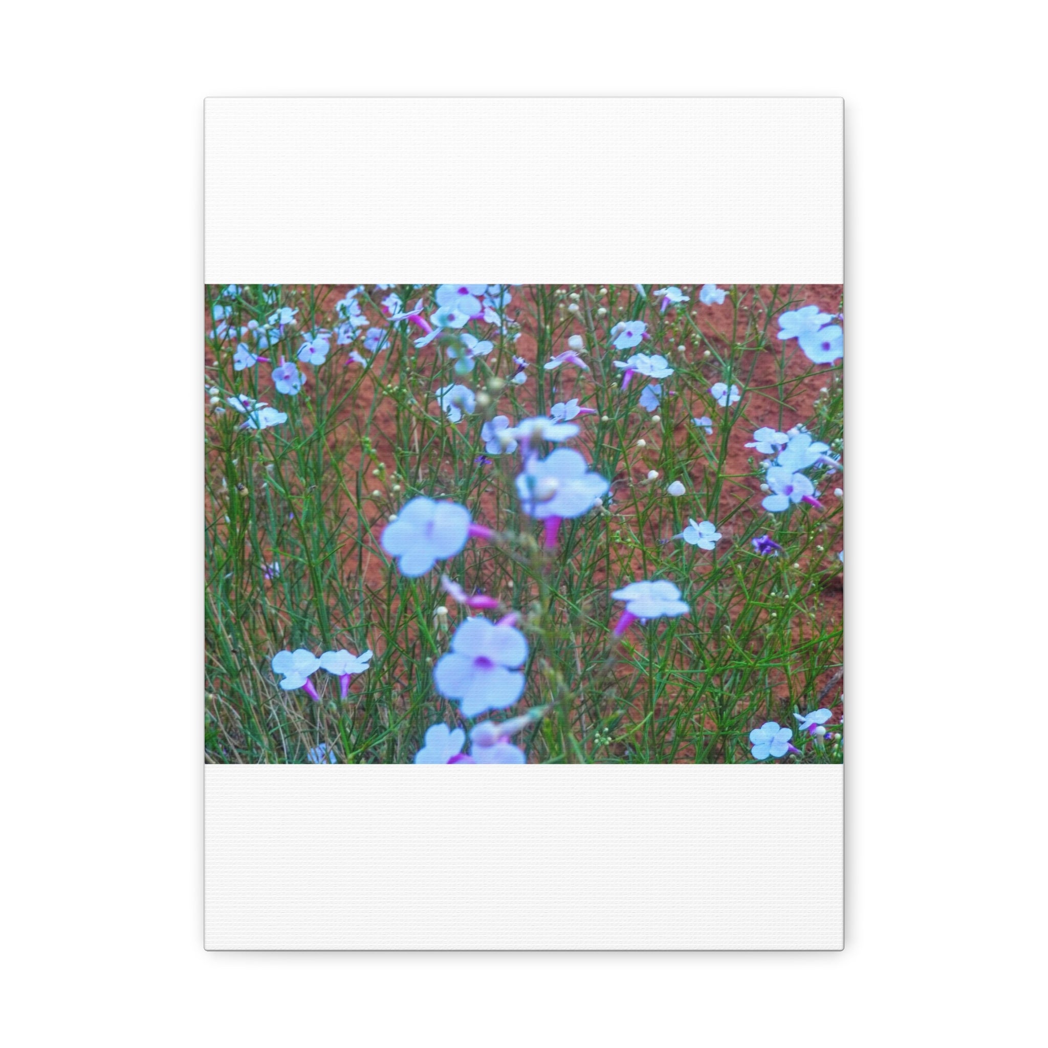 Floral Canvas Wall Art, Home Decor, Wall Hanging, Gift Idea, Nature Art, Flower Print
