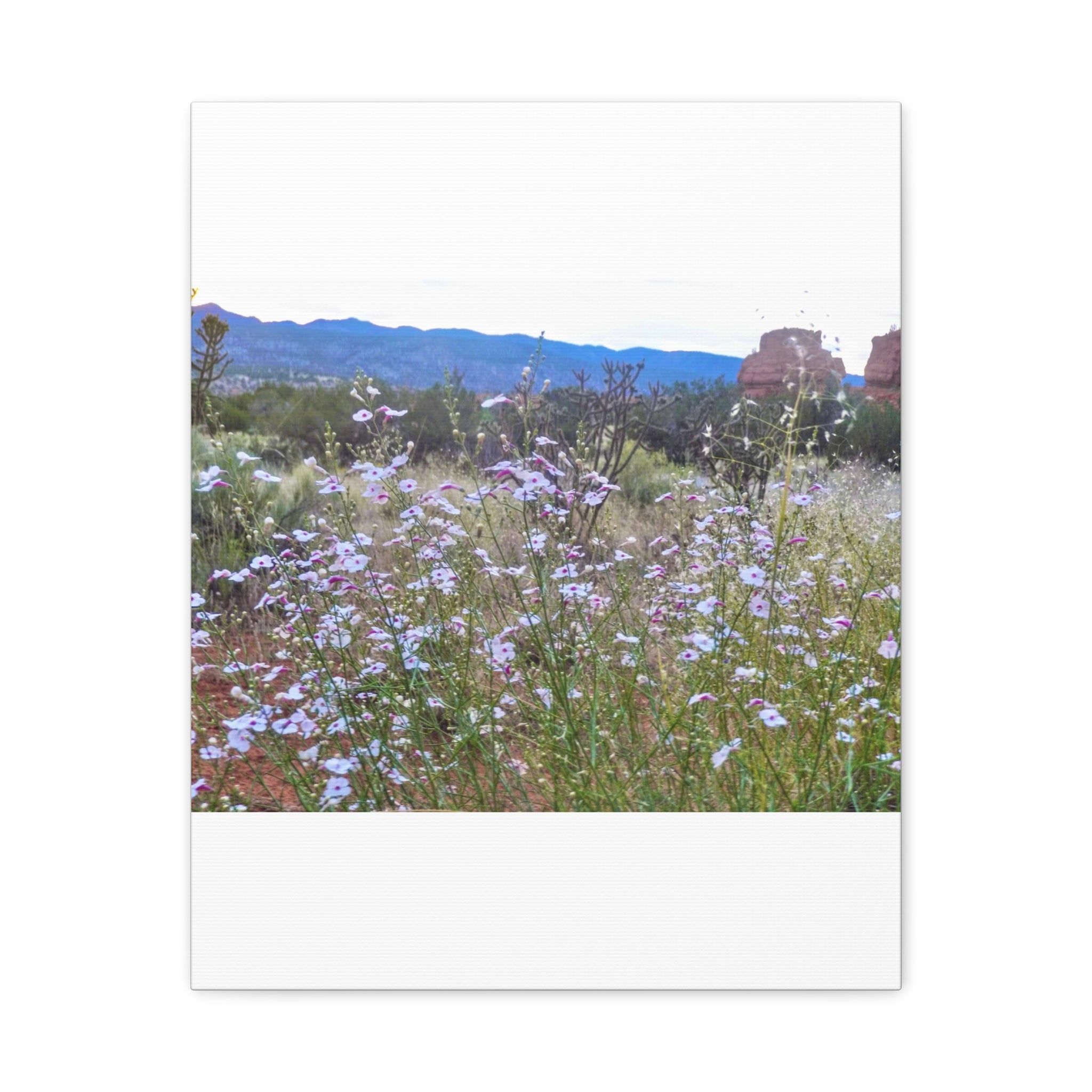 Floral Canvas Art Print, Nature Decor for Home, Wall Art for Office, Gift for Garden Lovers, Botanical Wall Decor, Spring Vibes