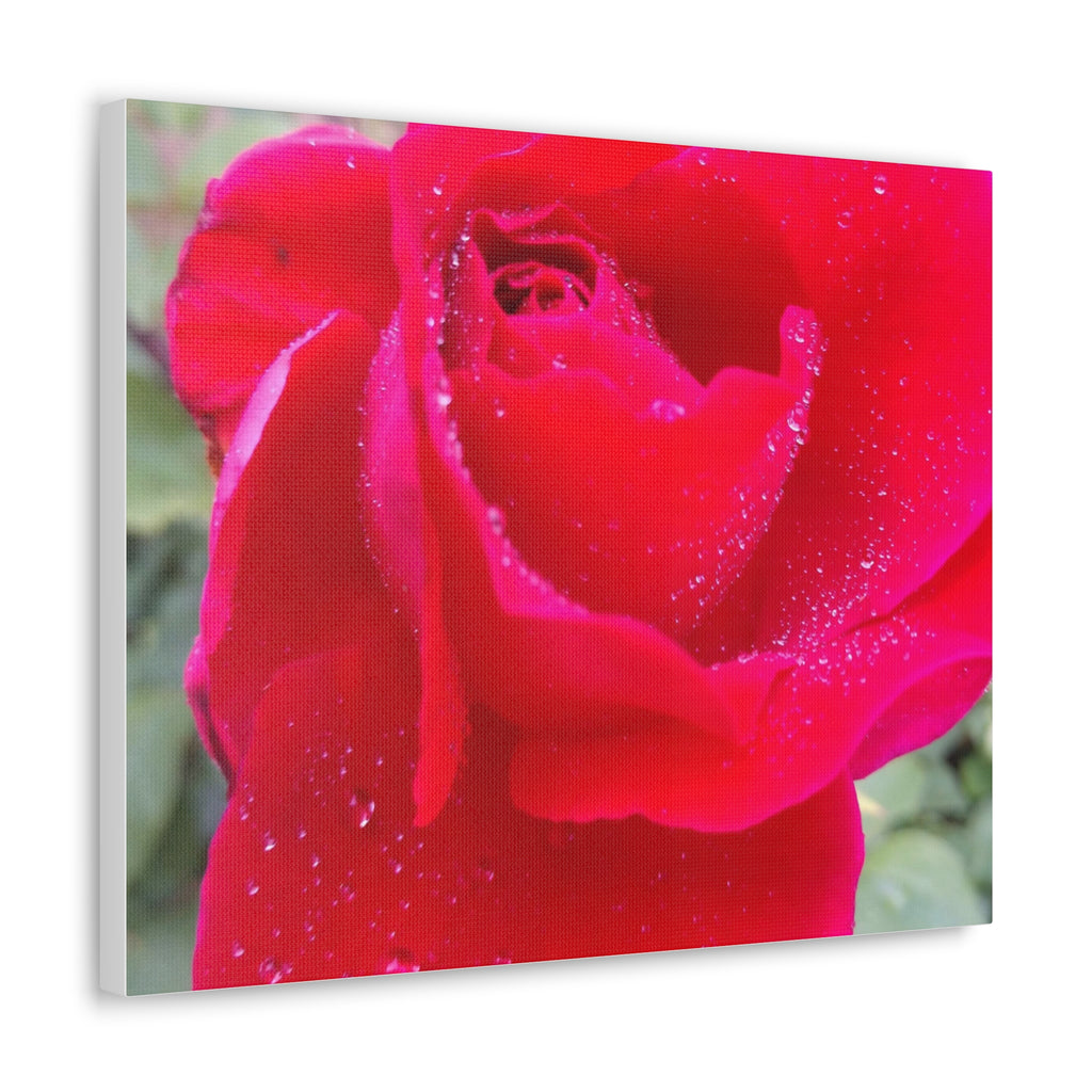 Stunning Floral Canvas Print, Home Decor, Wall Art, Gift for Flower Lovers, Red Rose Art, Mother's Day Gift