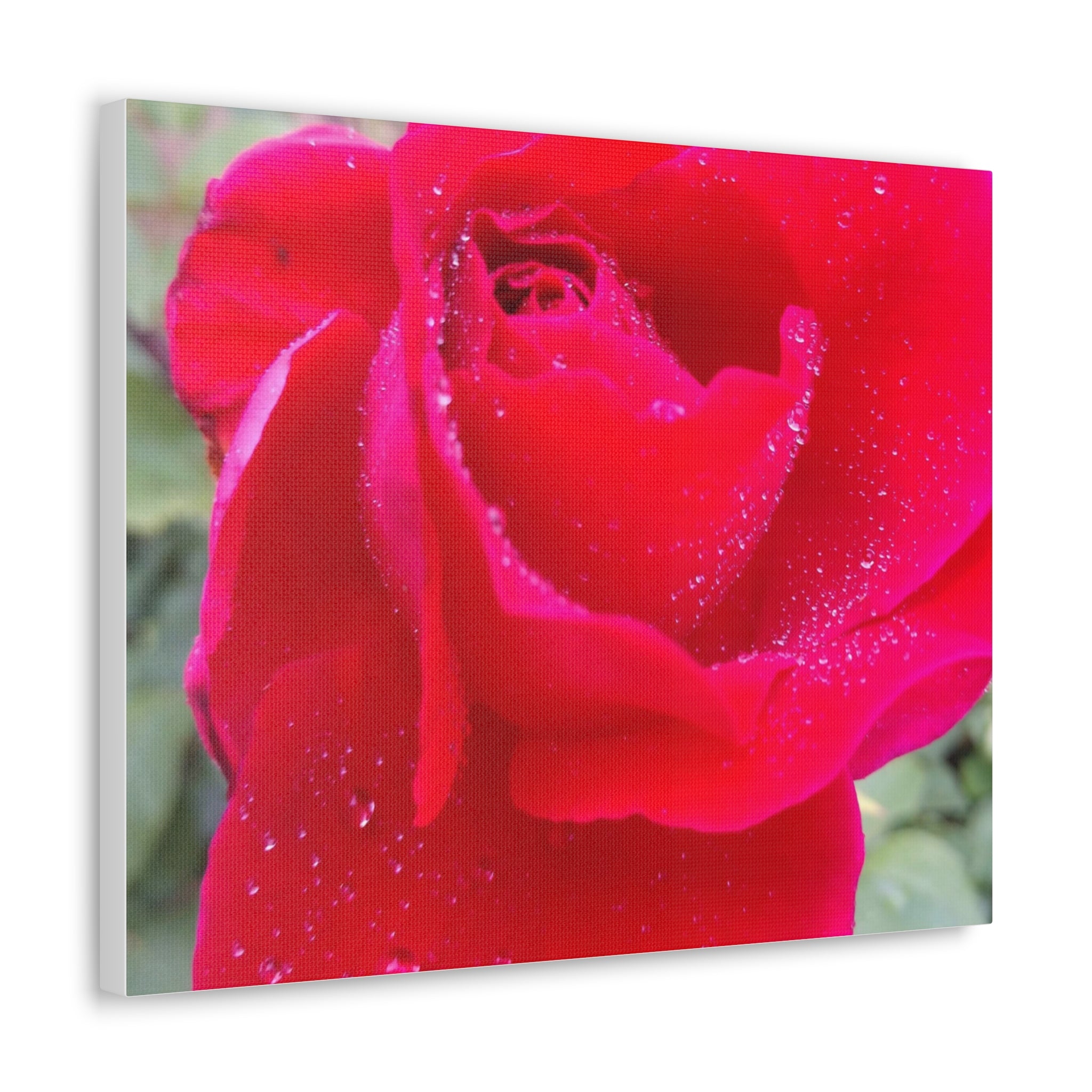 Stunning Floral Canvas Print, Home Decor, Wall Art, Gift for Flower Lovers, Red Rose Art, Mother's Day Gift