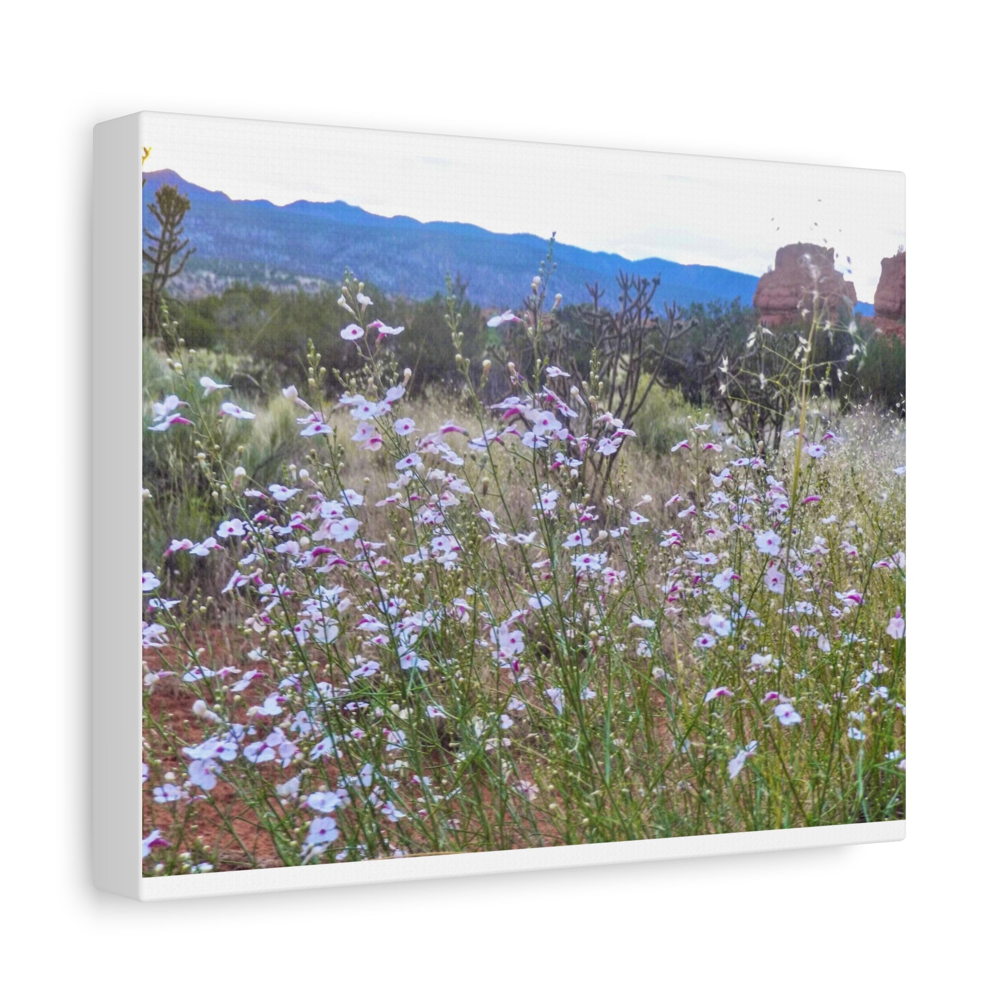 Floral Canvas Art Print, Nature Decor for Home, Wall Art for Office, Gift for Garden Lovers, Botanical Wall Decor, Spring Vibes