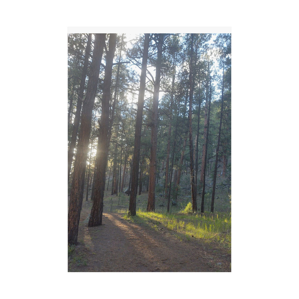 Serene Nature Matte Vertical Posters, Forest Wall Art, Home Decor, Gift Idea, Nature Lover's Decor, Inspirational Art Print