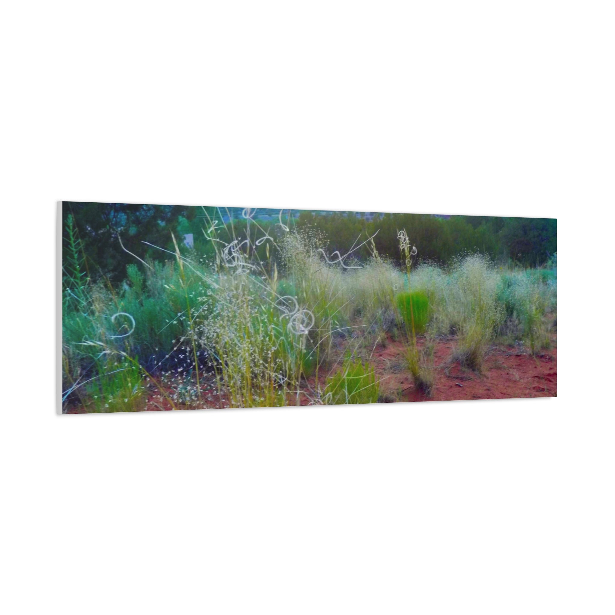 Stretched Canvas Art Print, Nature Wall Decor, Boho Home Decor, Rustic Landscape Art, Gift for Nature Lovers