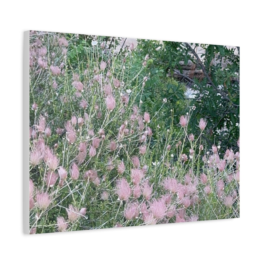 Floral Wall Art Canvas, Home Decor, Nature Lover Gift, Botanical Print, Spring Decor, Mother’s Day