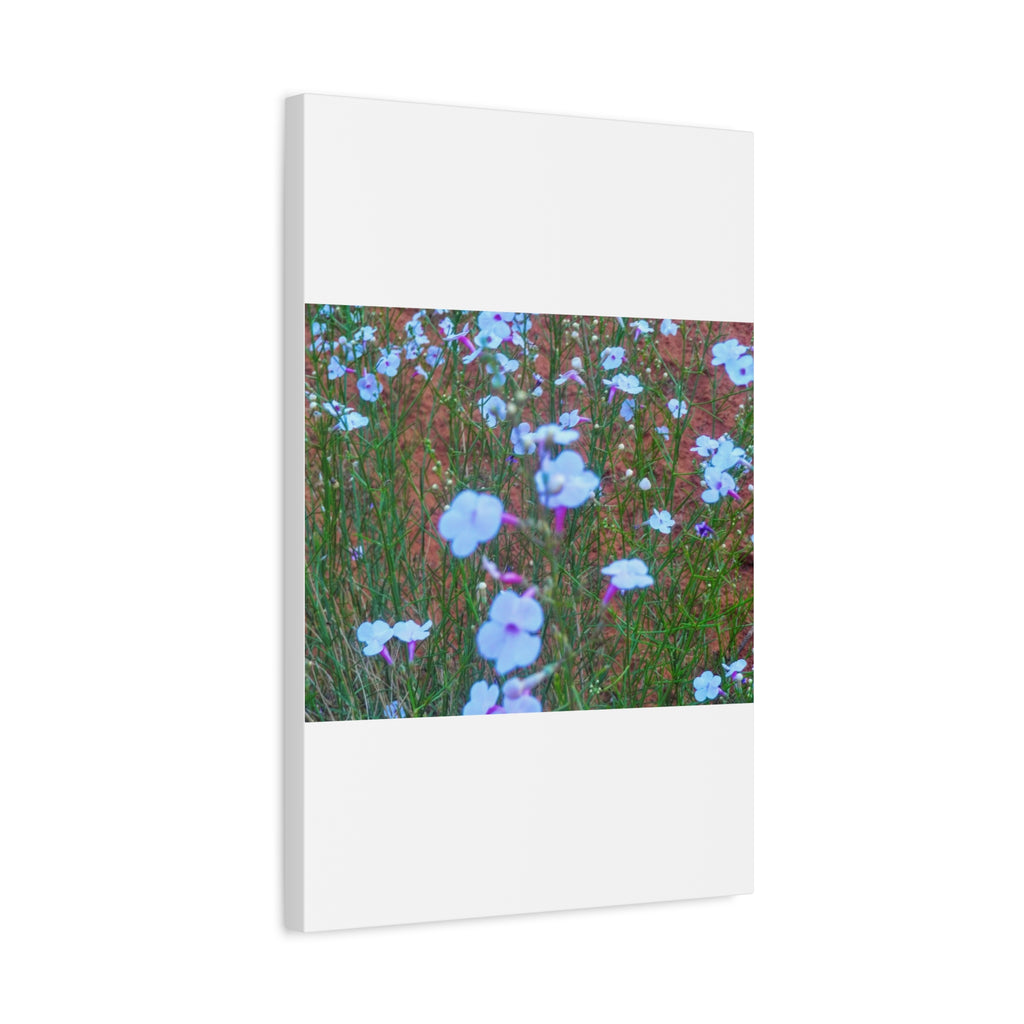 Floral Canvas Wall Art, Home Decor, Wall Hanging, Gift Idea, Nature Art, Flower Print