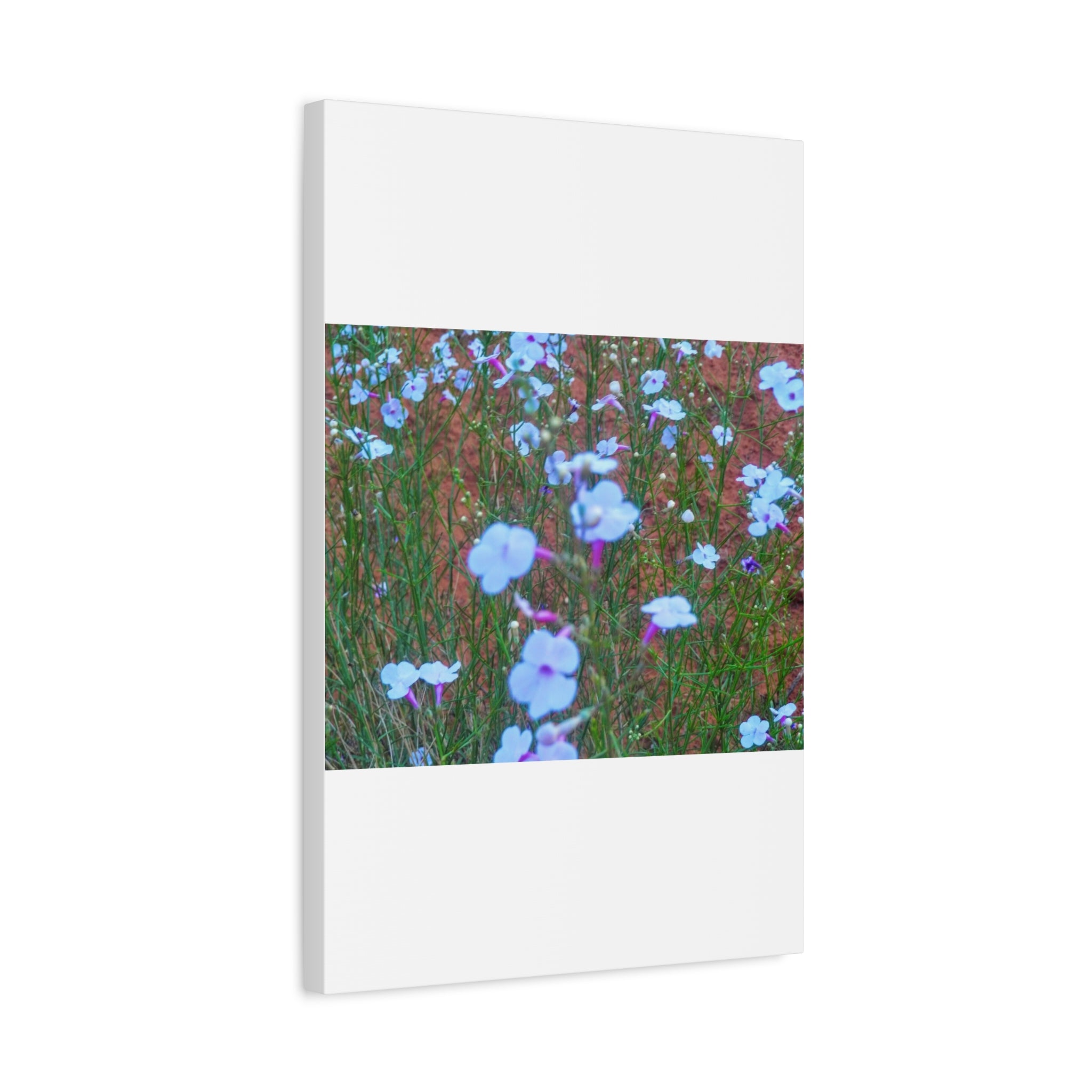 Floral Canvas Wall Art, Home Decor, Wall Hanging, Gift Idea, Nature Art, Flower Print