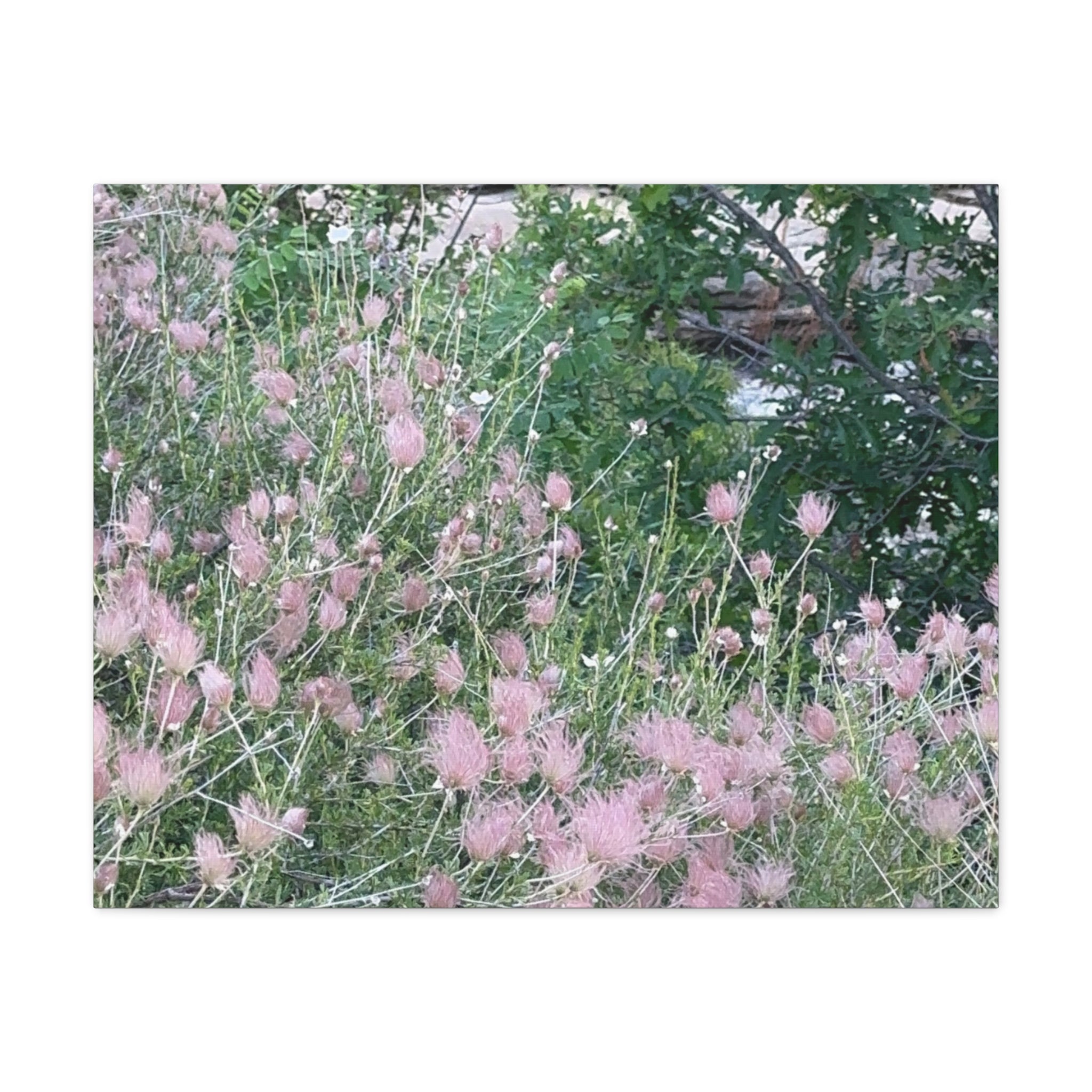 Floral Wall Art Canvas, Home Decor, Nature Lover Gift, Botanical Print, Spring Decor, Mother’s Day