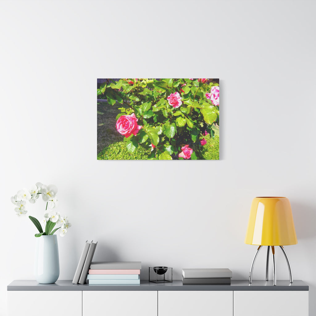 Floral Canvas Wall Art, Pink Rose Decor, Home Gallery Piece, Flower Photography, Garden Wall Decor, Floral Print