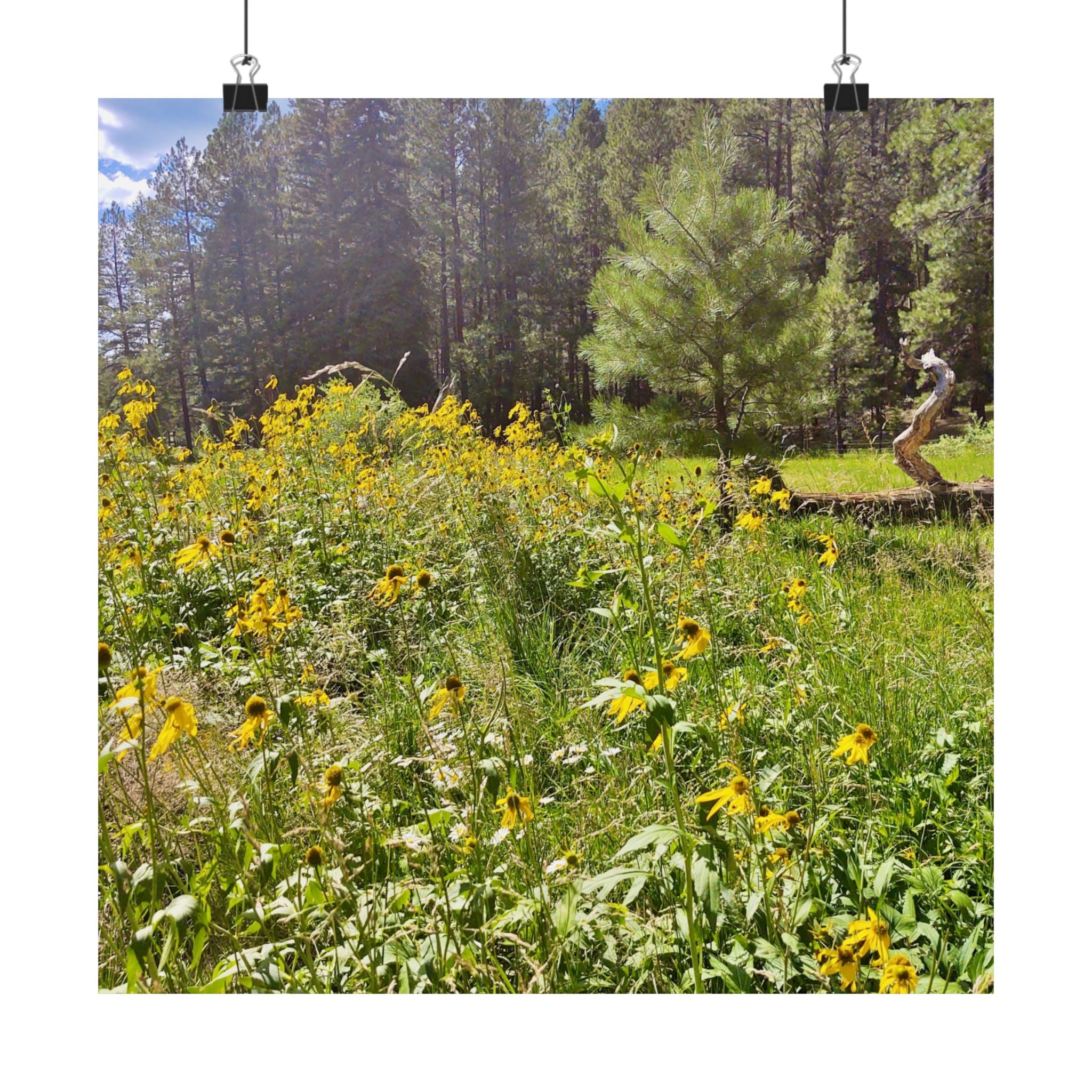 Nature-Inspired Matte Vertical Posters, Floral Wall Art, Home Decor, Gift for Nature Lovers, Botanical Print, Office Decoration