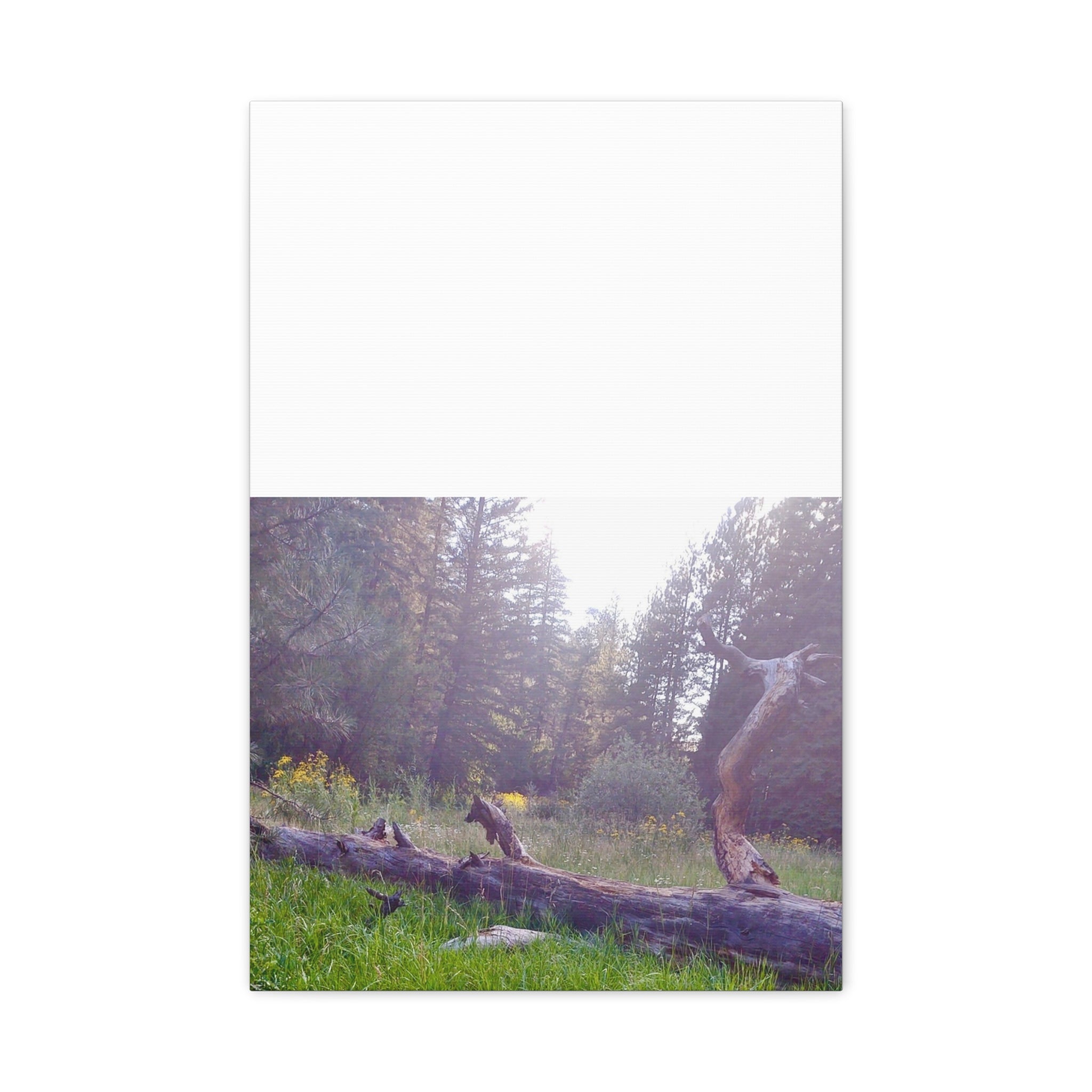 Matte Canvas Wall Art - Serene Nature Scene, Perfect for Home Decor, Gift for Nature Lovers, Office Wall Decoration, Rustic Art Print