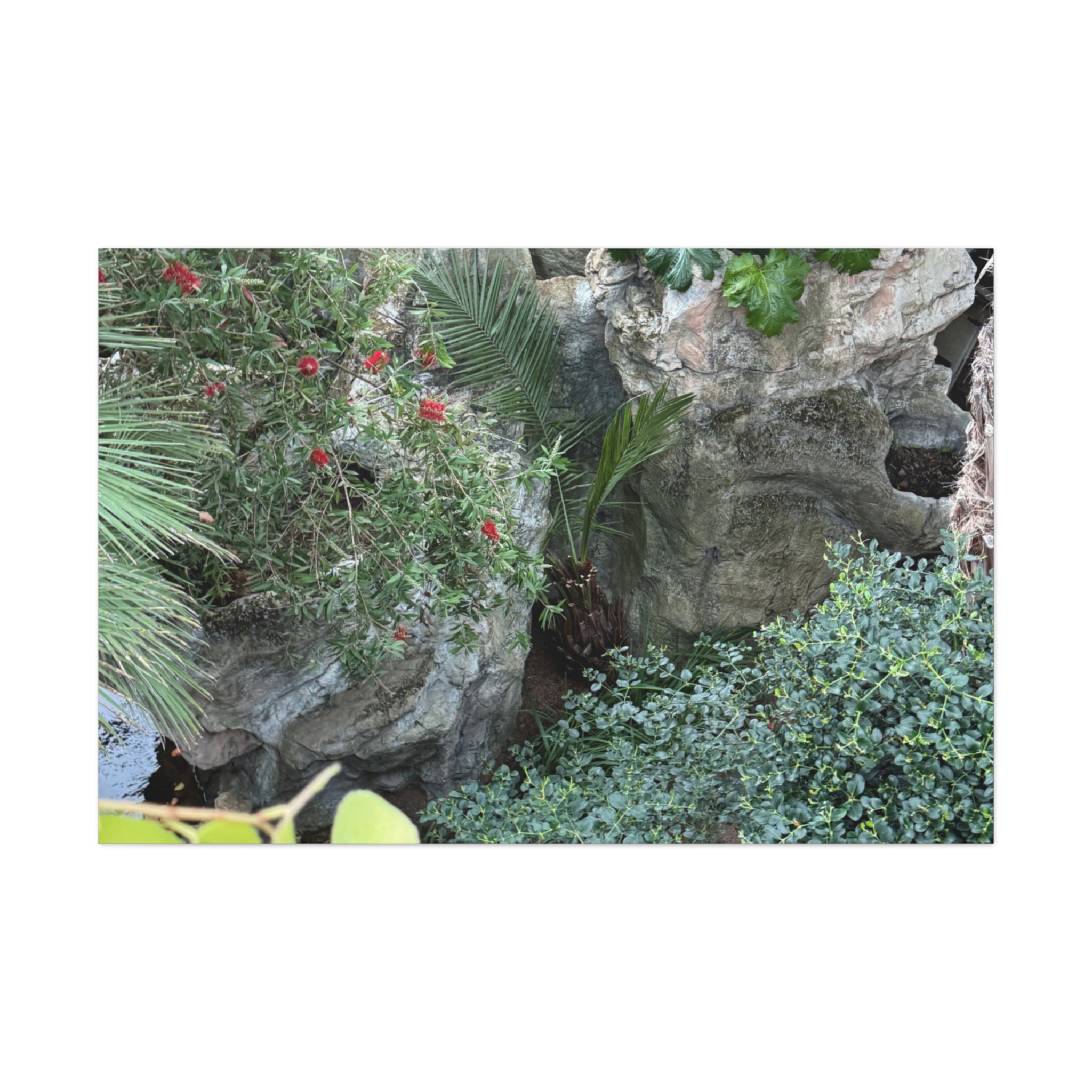 Canvas Wall Art, Tropical Garden Print, Home Decor, Botanical Artwork, Nature Lover Gift, Modern Interior Design