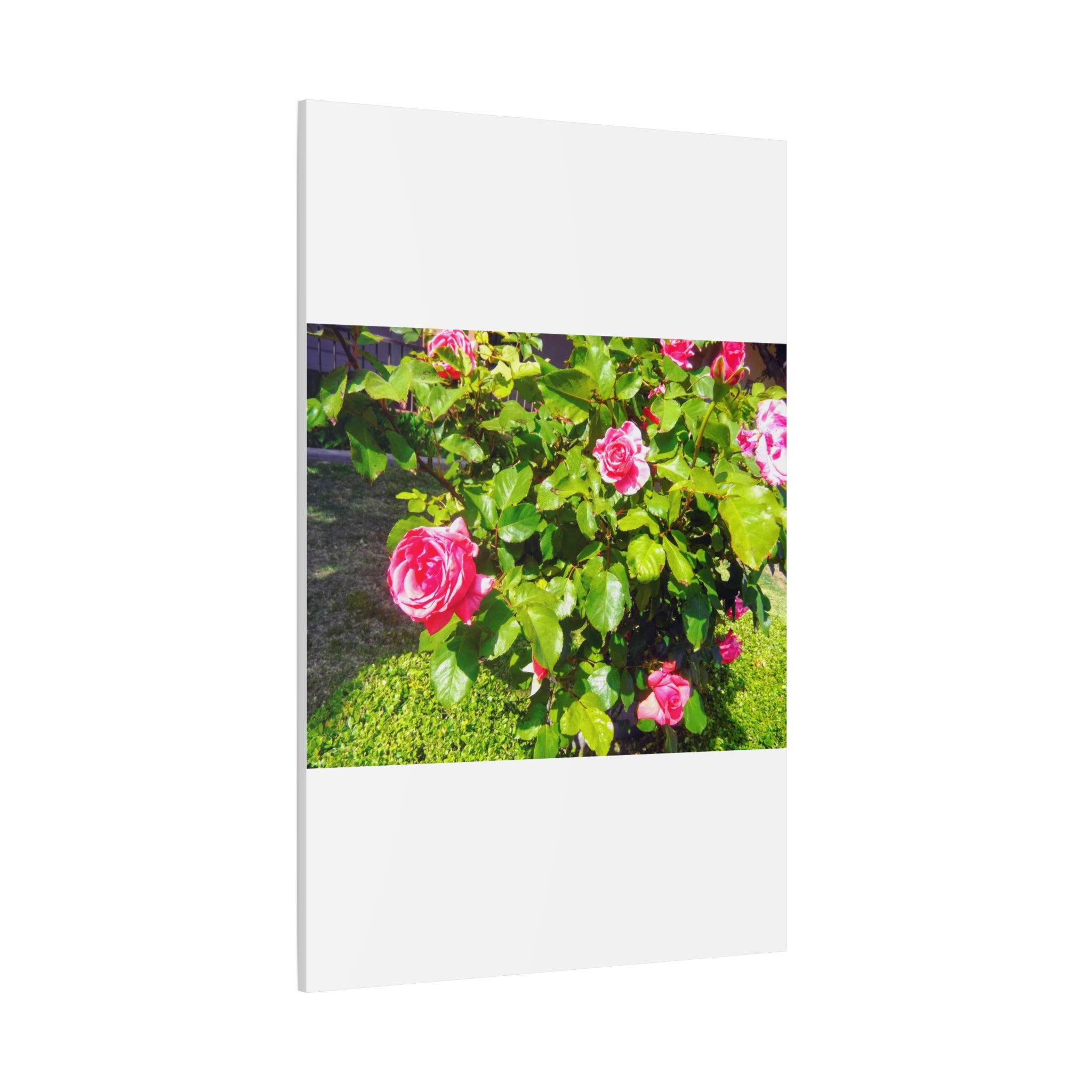 Floral Canvas Wall Art, Pink Rose Decor, Home Gallery Piece, Flower Photography, Garden Wall Decor, Floral Print