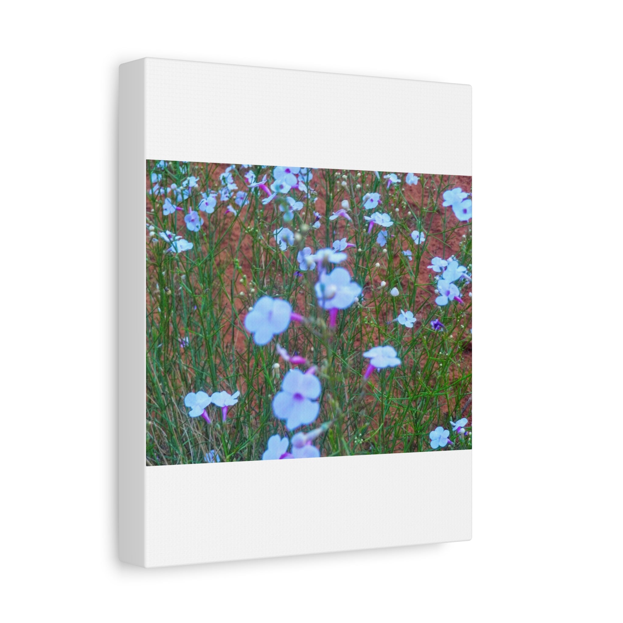 Floral Canvas Wall Art, Home Decor, Wall Hanging, Gift Idea, Nature Art, Flower Print