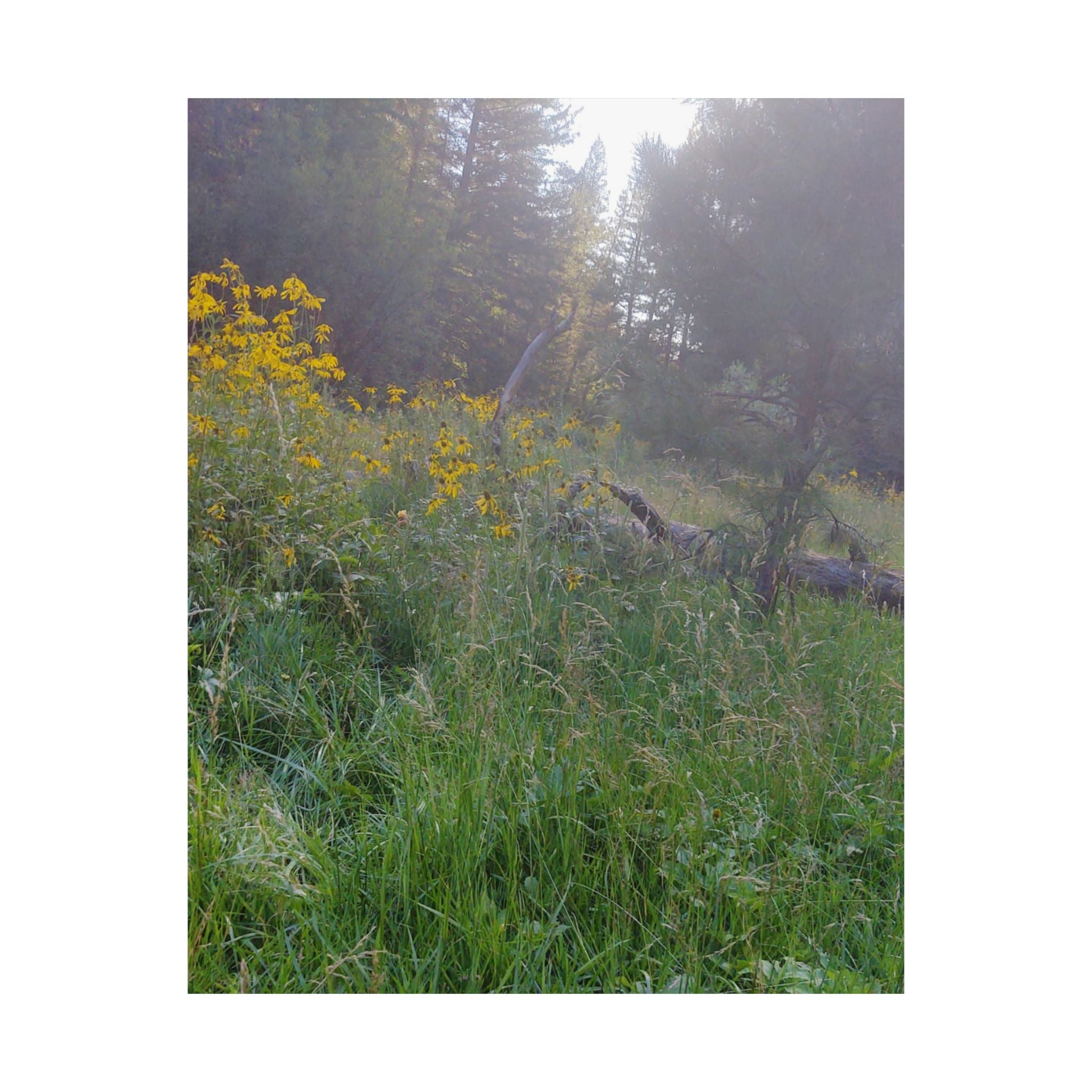 Nature-Inspired Matte Vertical Posters, Floral Art Print, Wall Decor, Home Aesthetic, Cottage Core Decor, Boho Wall Art