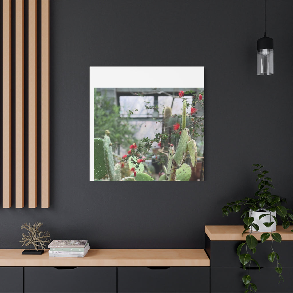 Cactus Wall Art Print, Nature Home Decor, Bohemian Style Artwork, Botanical Gift, Succulent Canvas