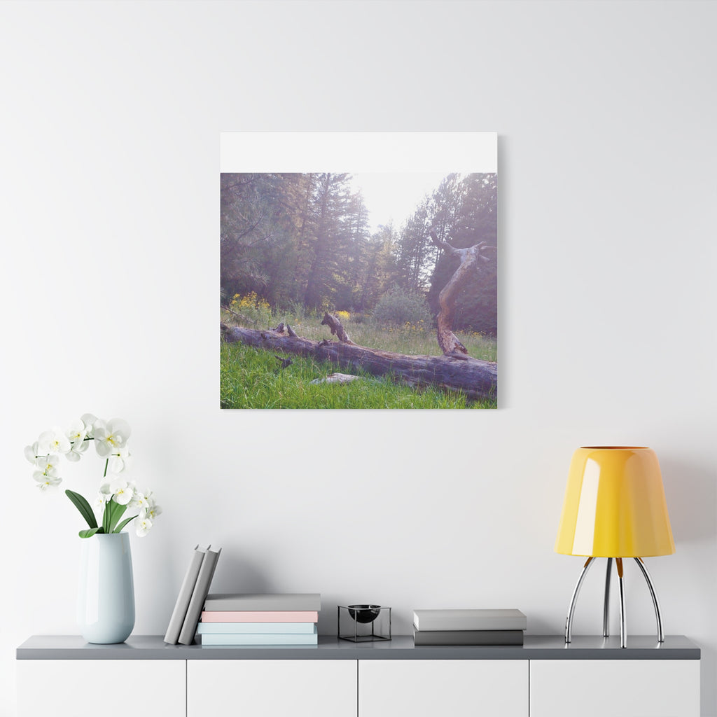 Matte Canvas Wall Art - Serene Nature Scene, Perfect for Home Decor, Gift for Nature Lovers, Office Wall Decoration, Rustic Art Print